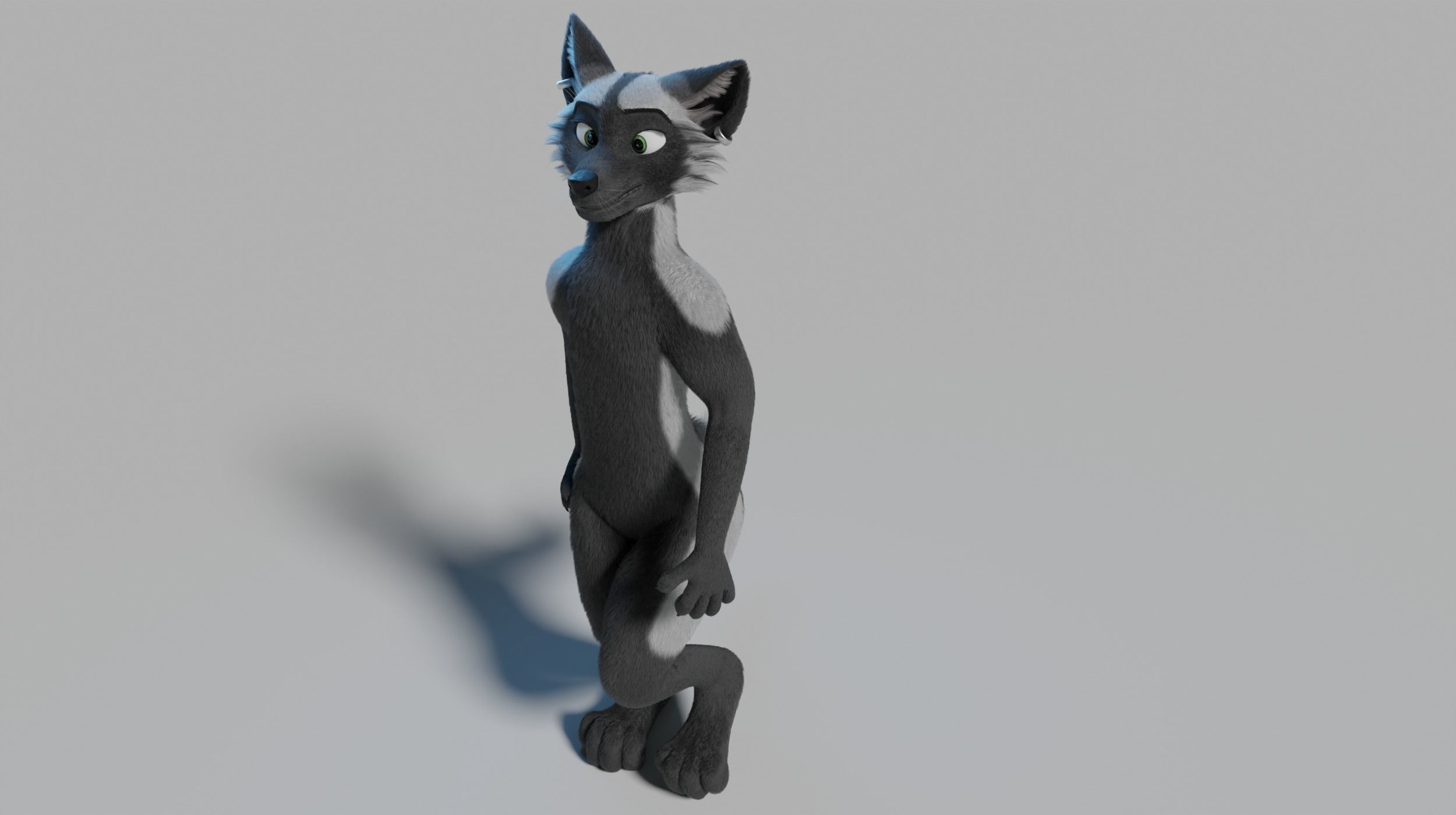 Chloe Anthro Fox 3D model_29