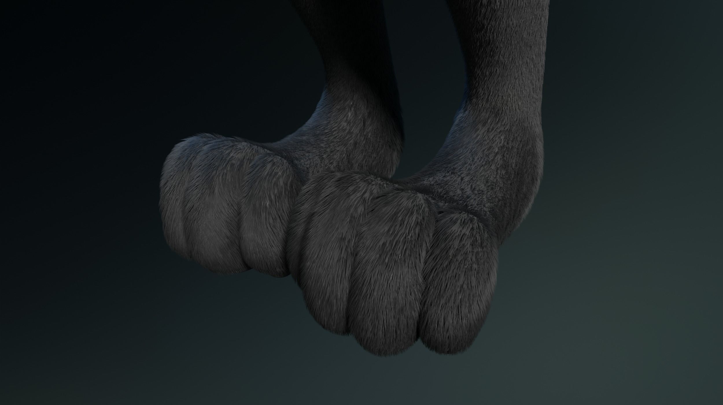 Chloe Anthro Fox 3D model_11