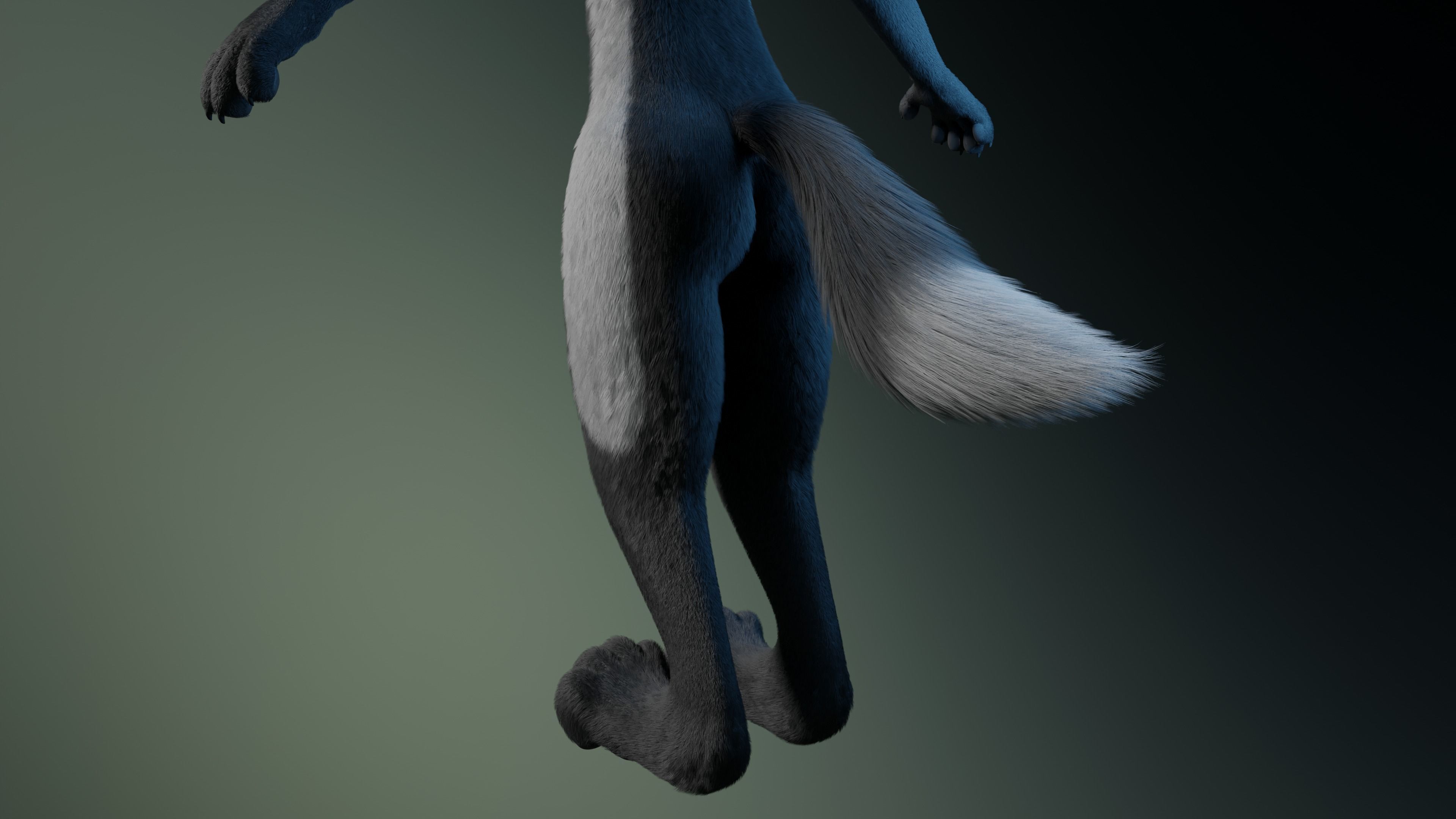 Chloe Anthro Fox 3D model_9