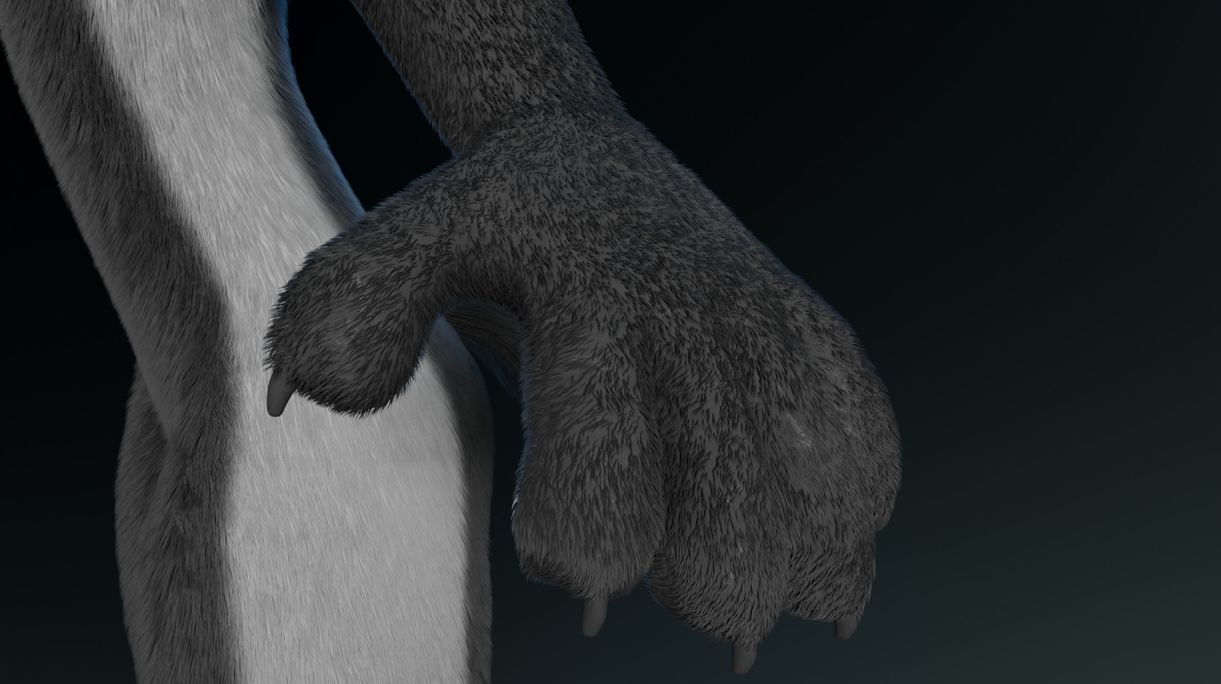 Chloe Anthro Fox 3D model_15