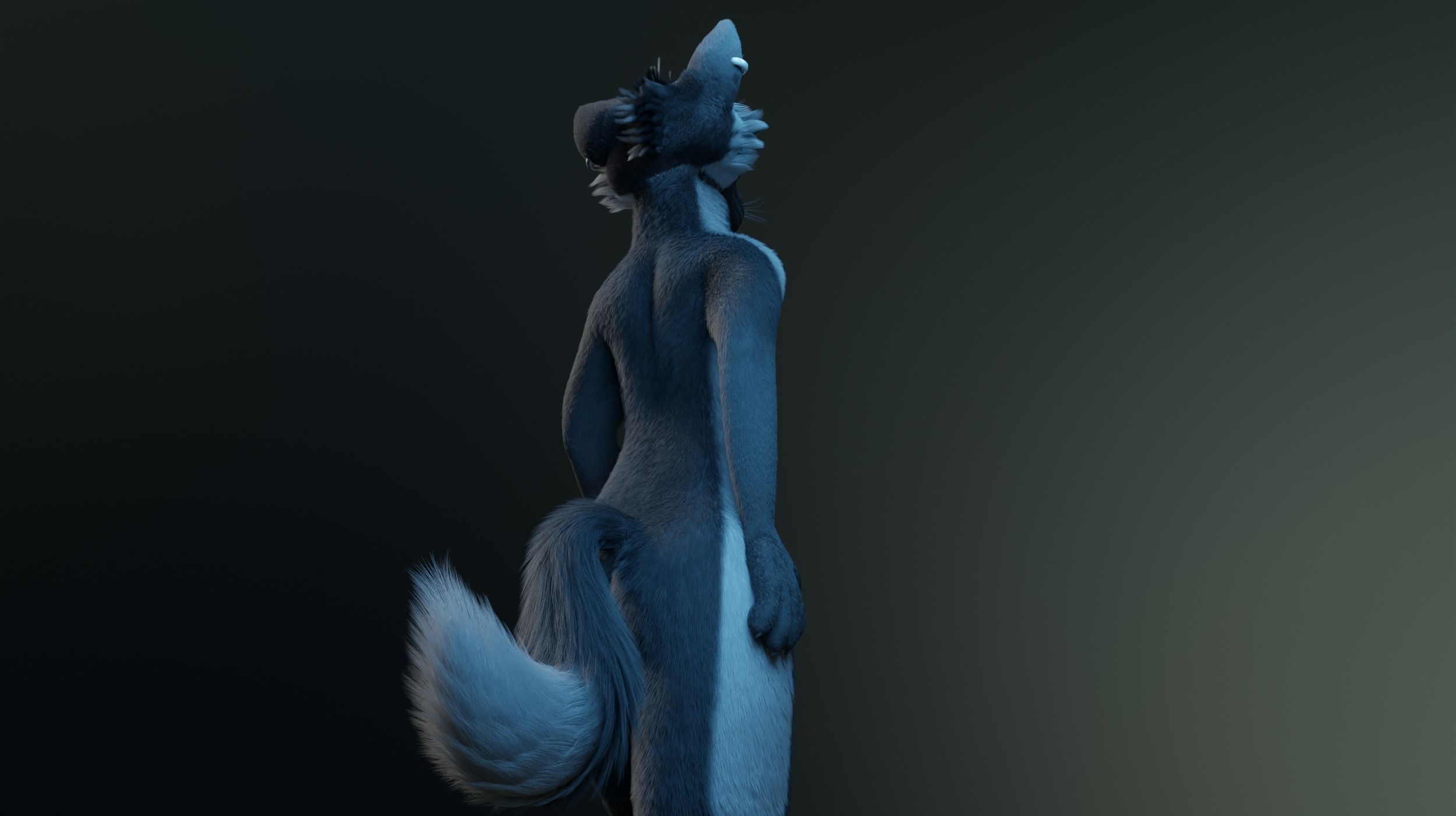 Chloe Anthro Fox 3D model_20
