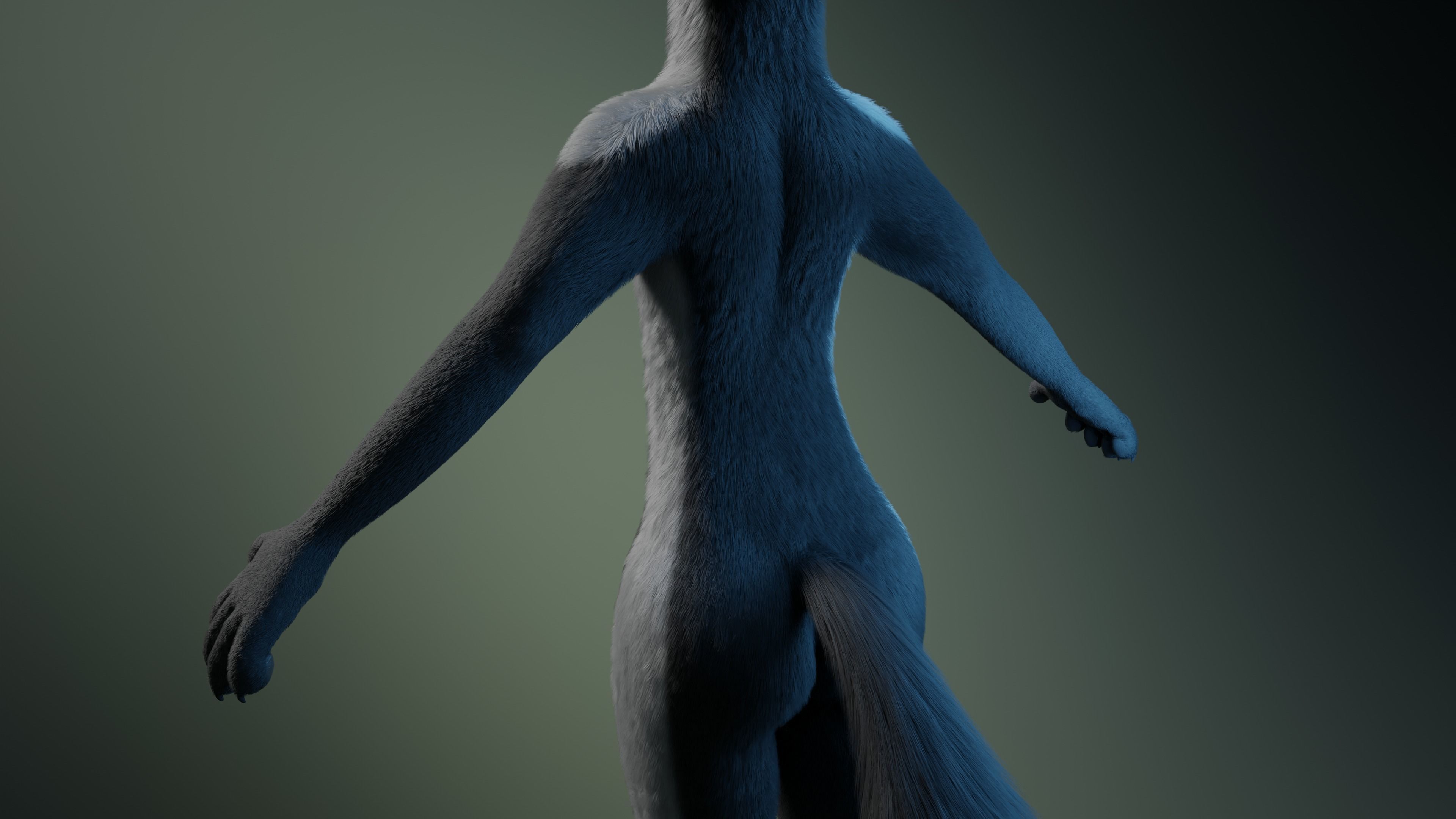 Chloe Anthro Fox 3D model_7