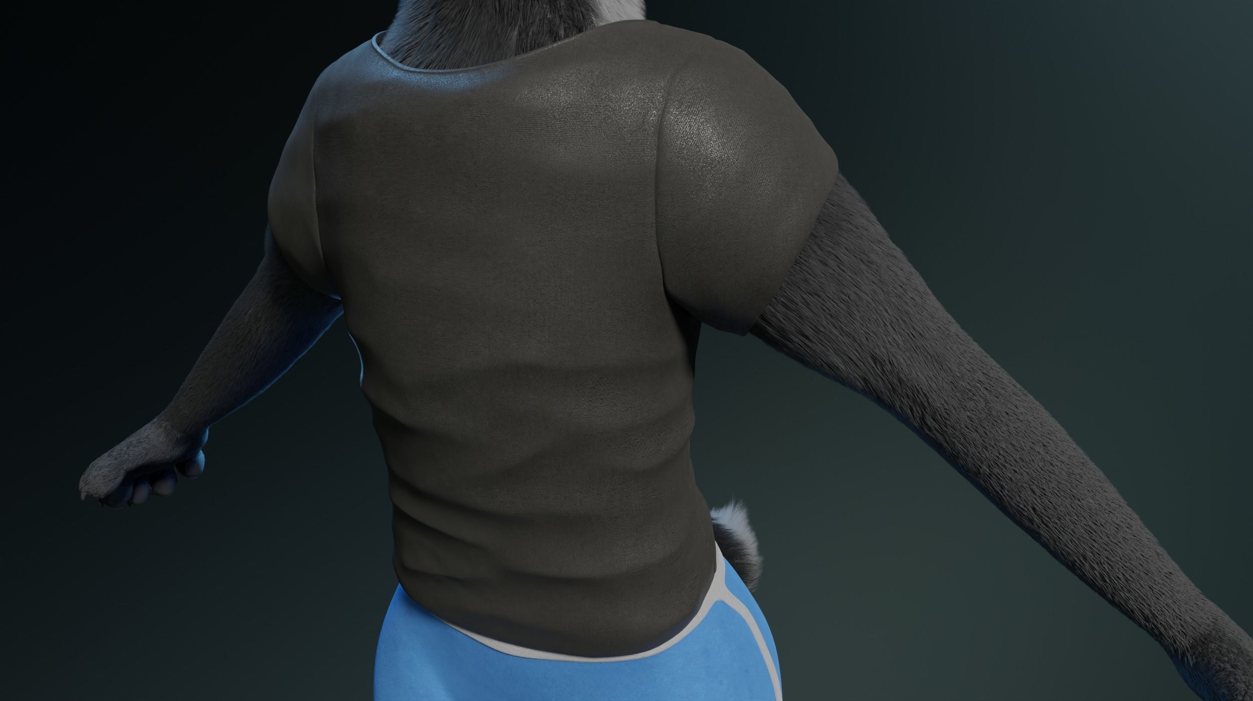 Chloe Anthro Fox 3D model_26