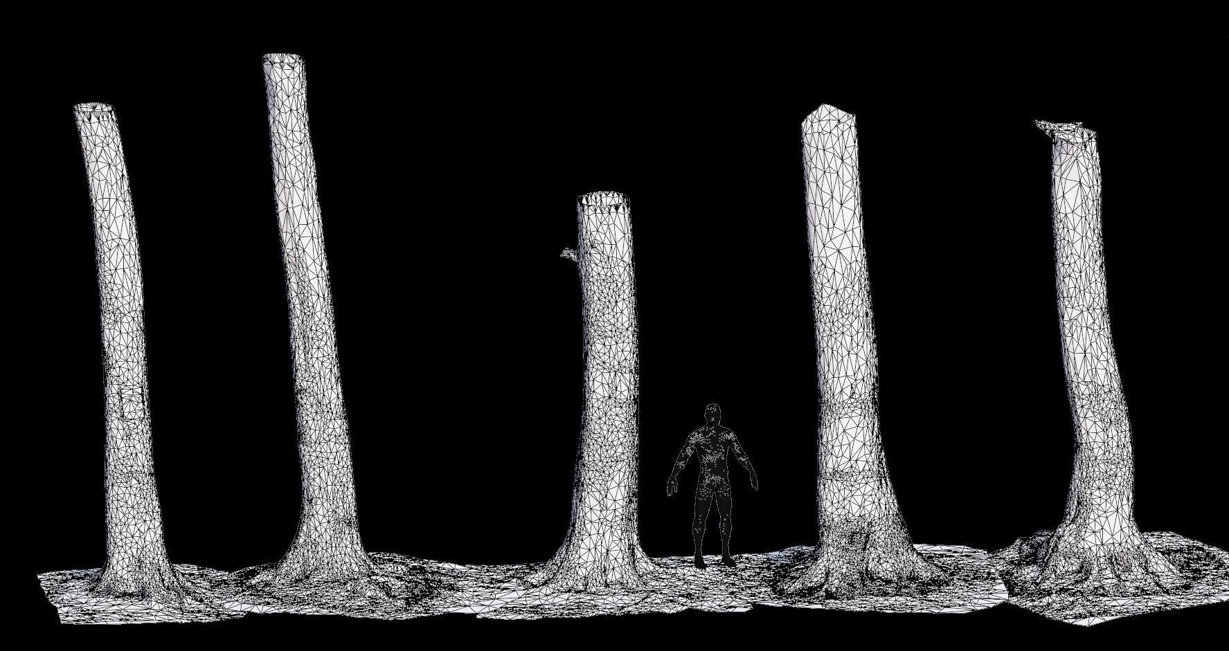 PBR 8x Beech Tree Trunk Real Scan Roots Collection Low-poly 3D model_7