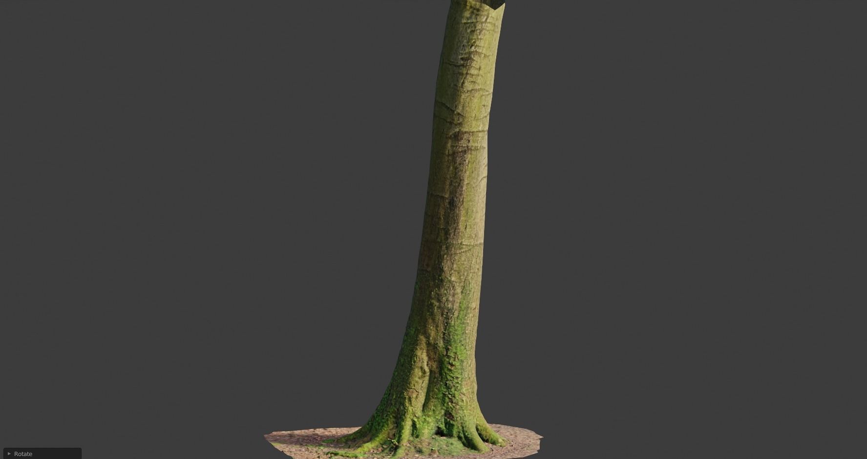 PBR 8x Beech Tree Trunk Real Scan Roots Collection Low-poly 3D model_12