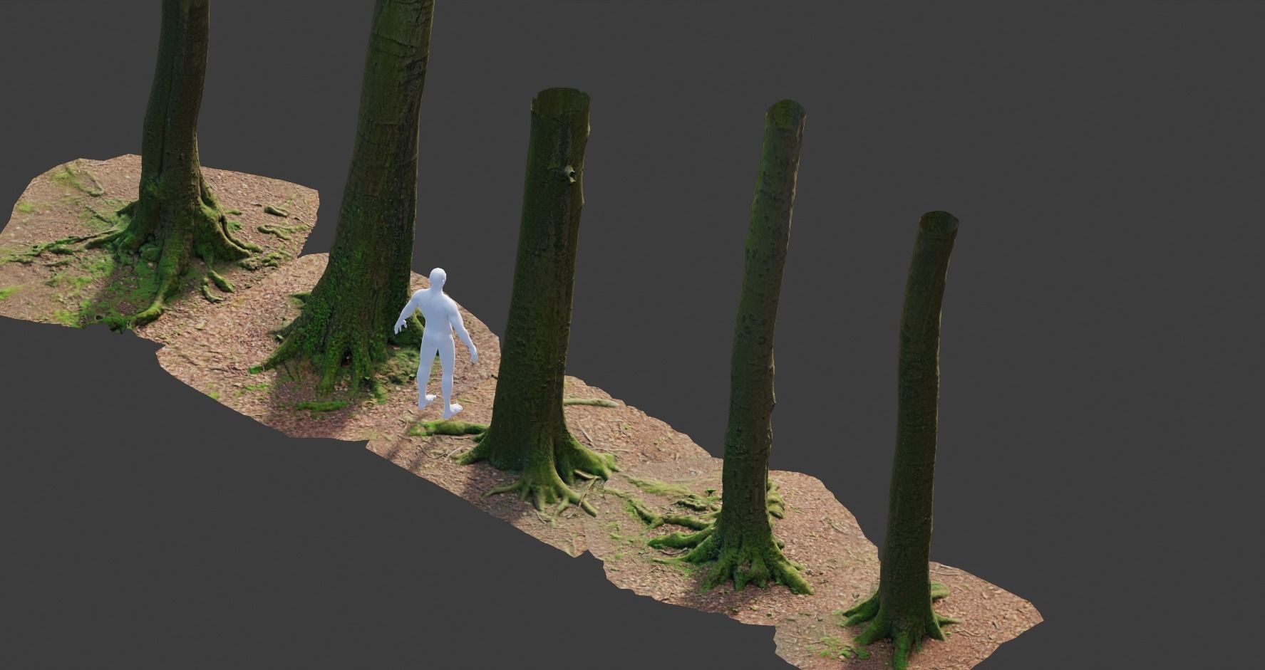 PBR 8x Beech Tree Trunk Real Scan Roots Collection Low-poly 3D model_4