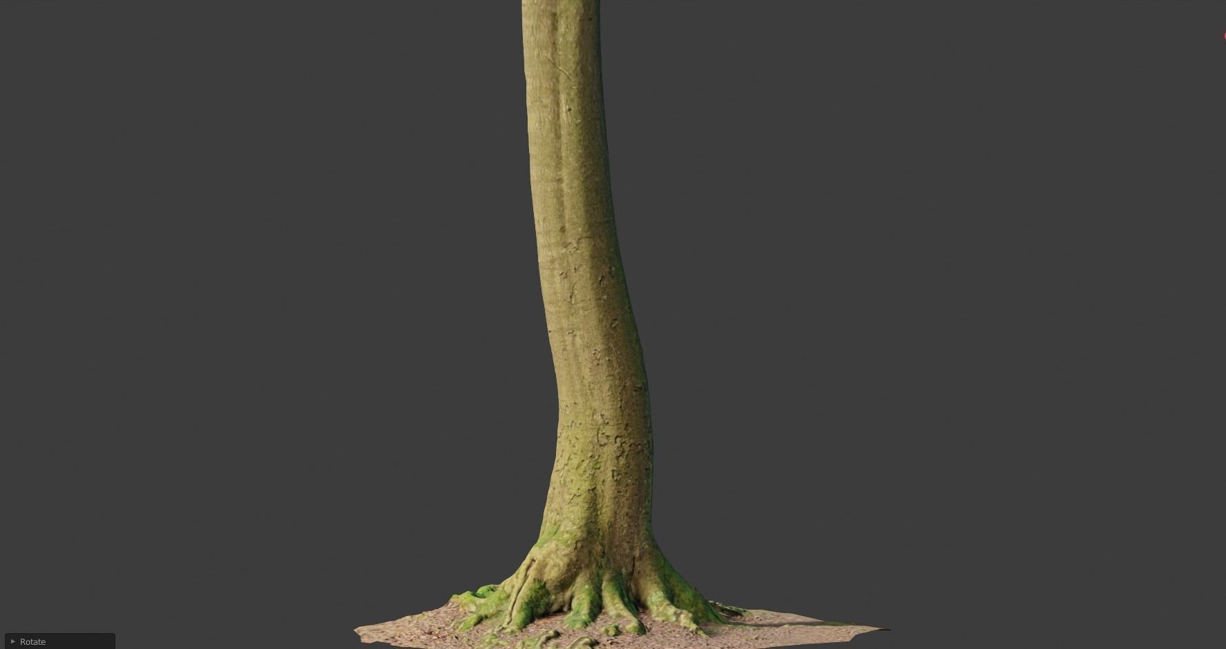 PBR 8x Beech Tree Trunk Real Scan Roots Collection Low-poly 3D model_14