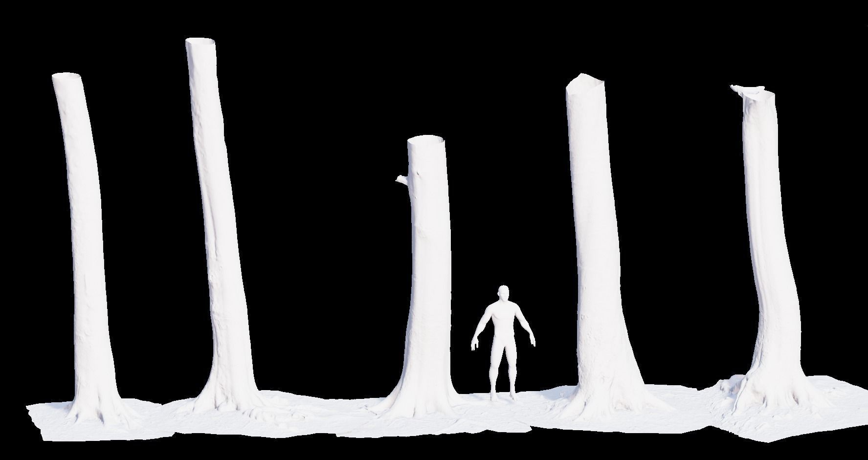 PBR 8x Beech Tree Trunk Real Scan Roots Collection Low-poly 3D model_6