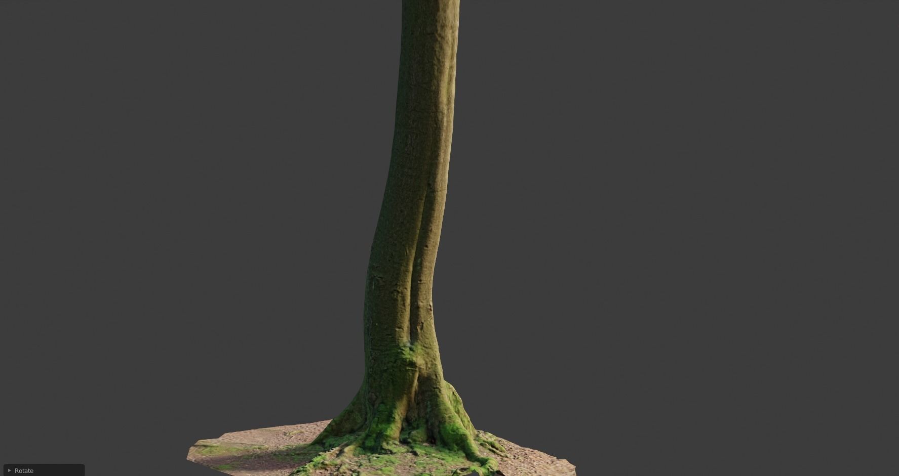 PBR 8x Beech Tree Trunk Real Scan Roots Collection Low-poly 3D model_13
