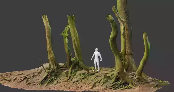 PBR Beech Oak Roots Tree Big Group