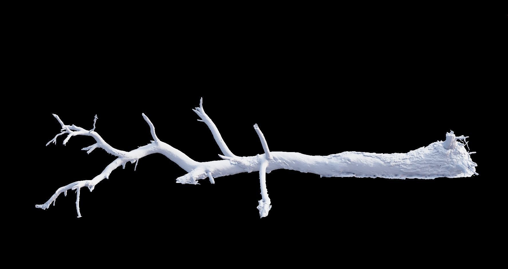 PBR 8K Pine Tree Fallen Dead Scan Big 3D model_3