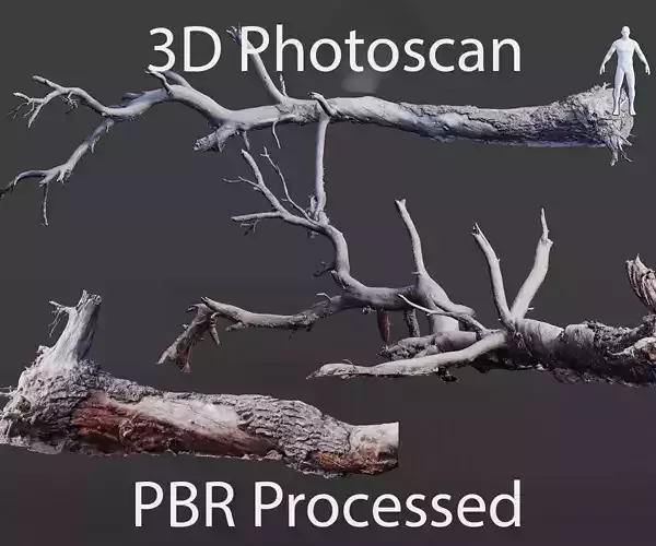 PBR 8K Pine Tree Fallen Dead Scan Big 3D model