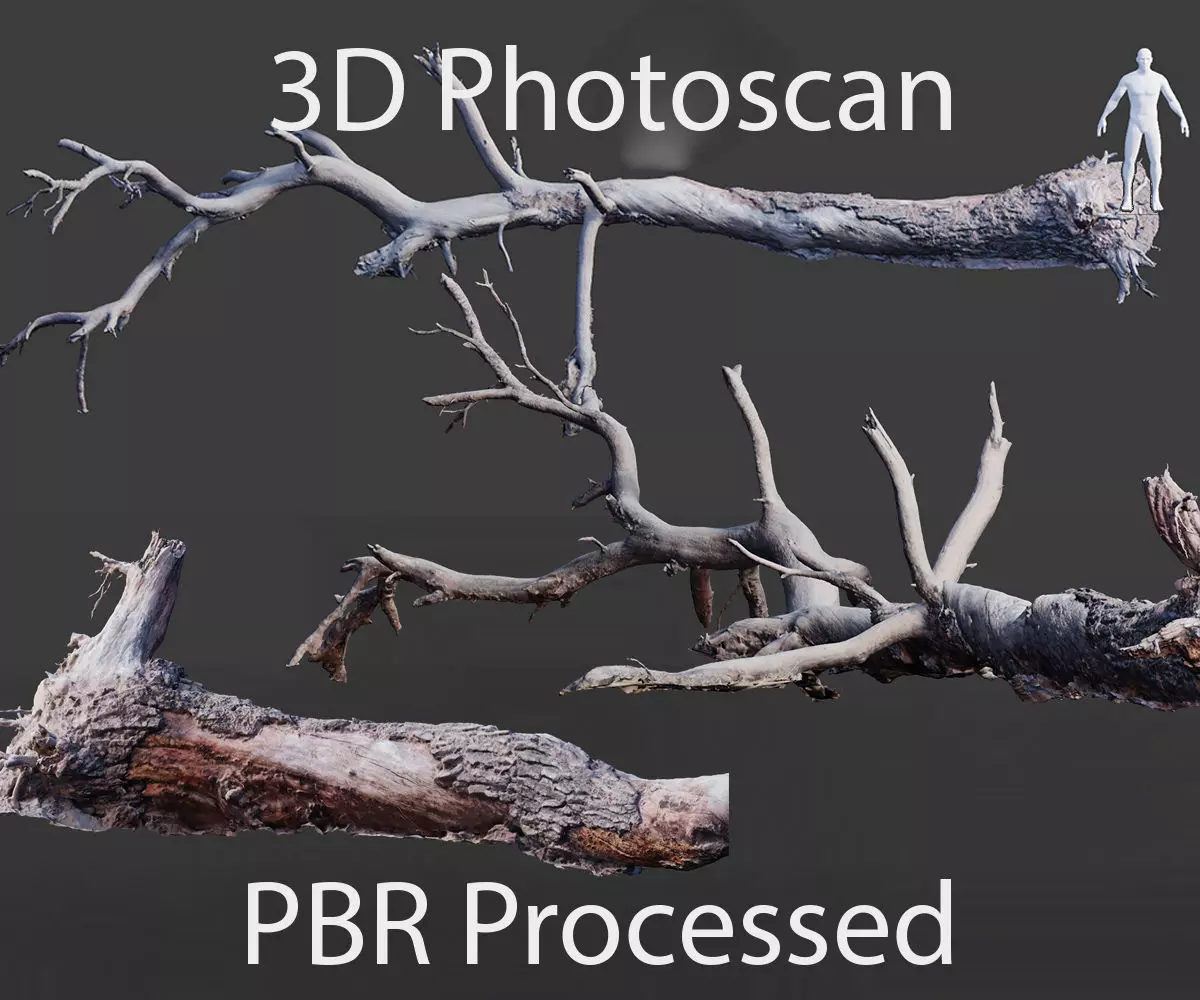 PBR 8K Pine Tree Fallen Dead Scan Big 3D model_0