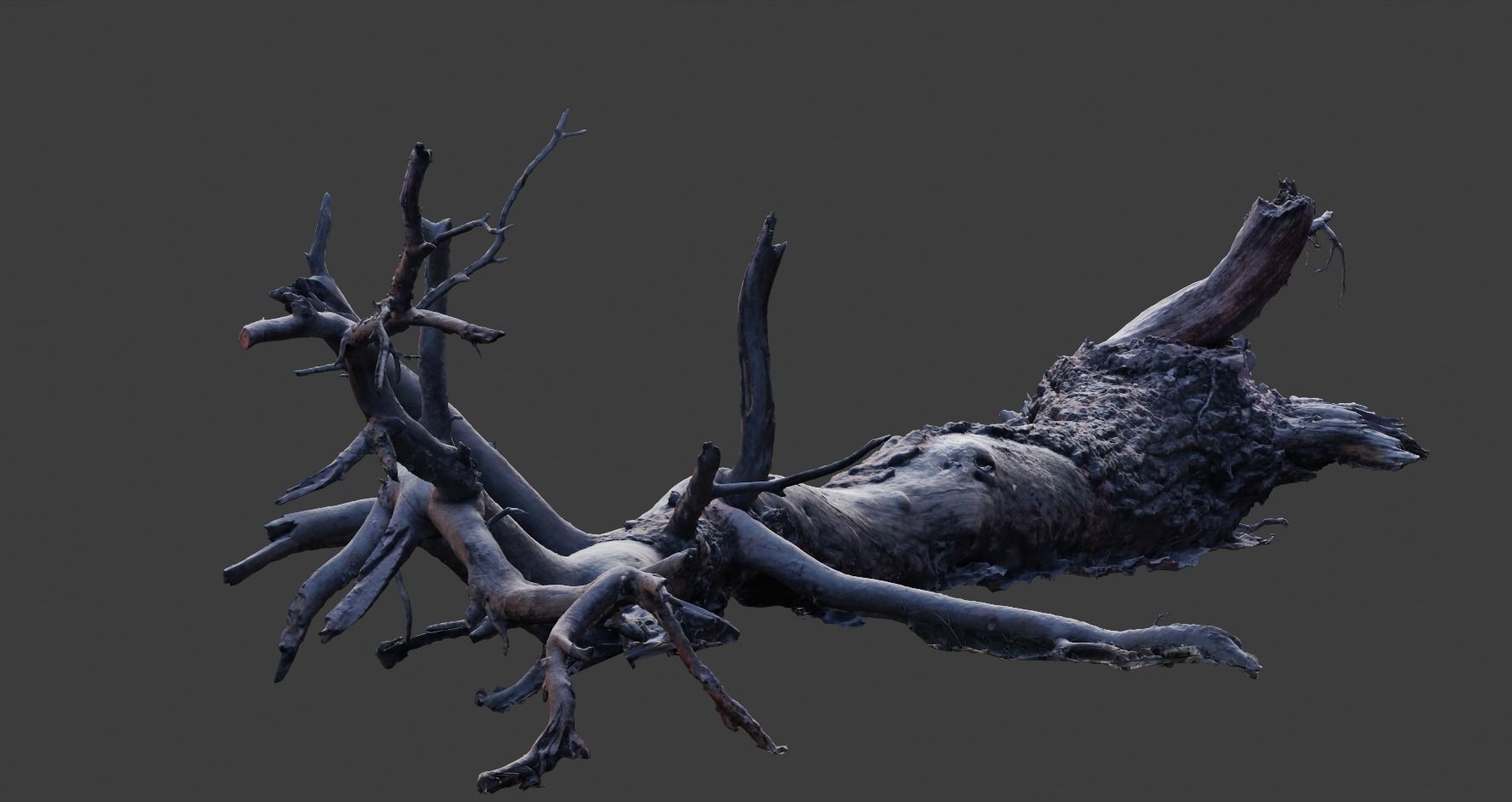 PBR 8K Pine Tree Fallen Dead Scan Big 3D model_9