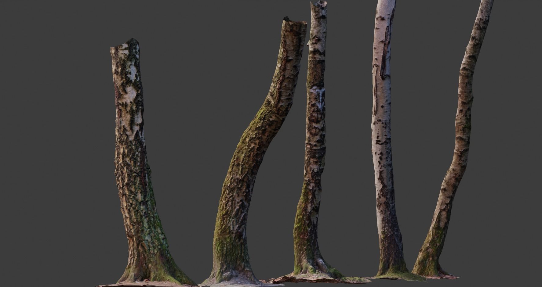 PBR 5x Beech Tree Trunk Real Scan Realistic Collection Low-poly 3D model_5