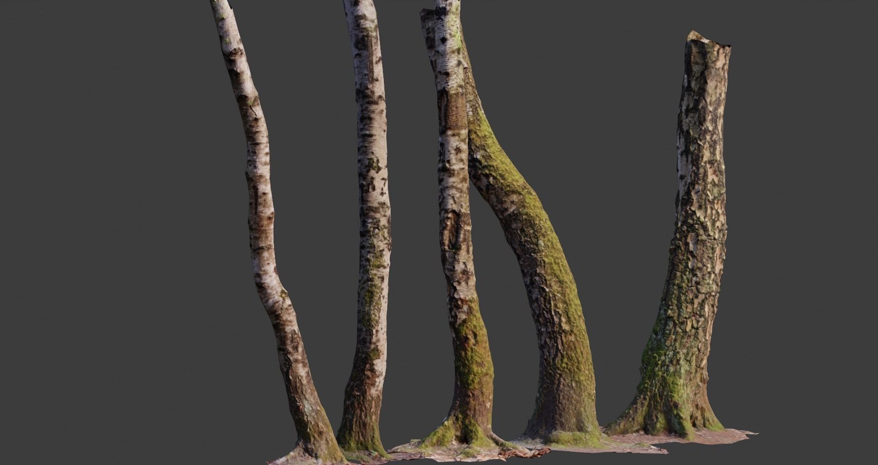 PBR 5x Beech Tree Trunk Real Scan Realistic Collection Low-poly 3D model_4