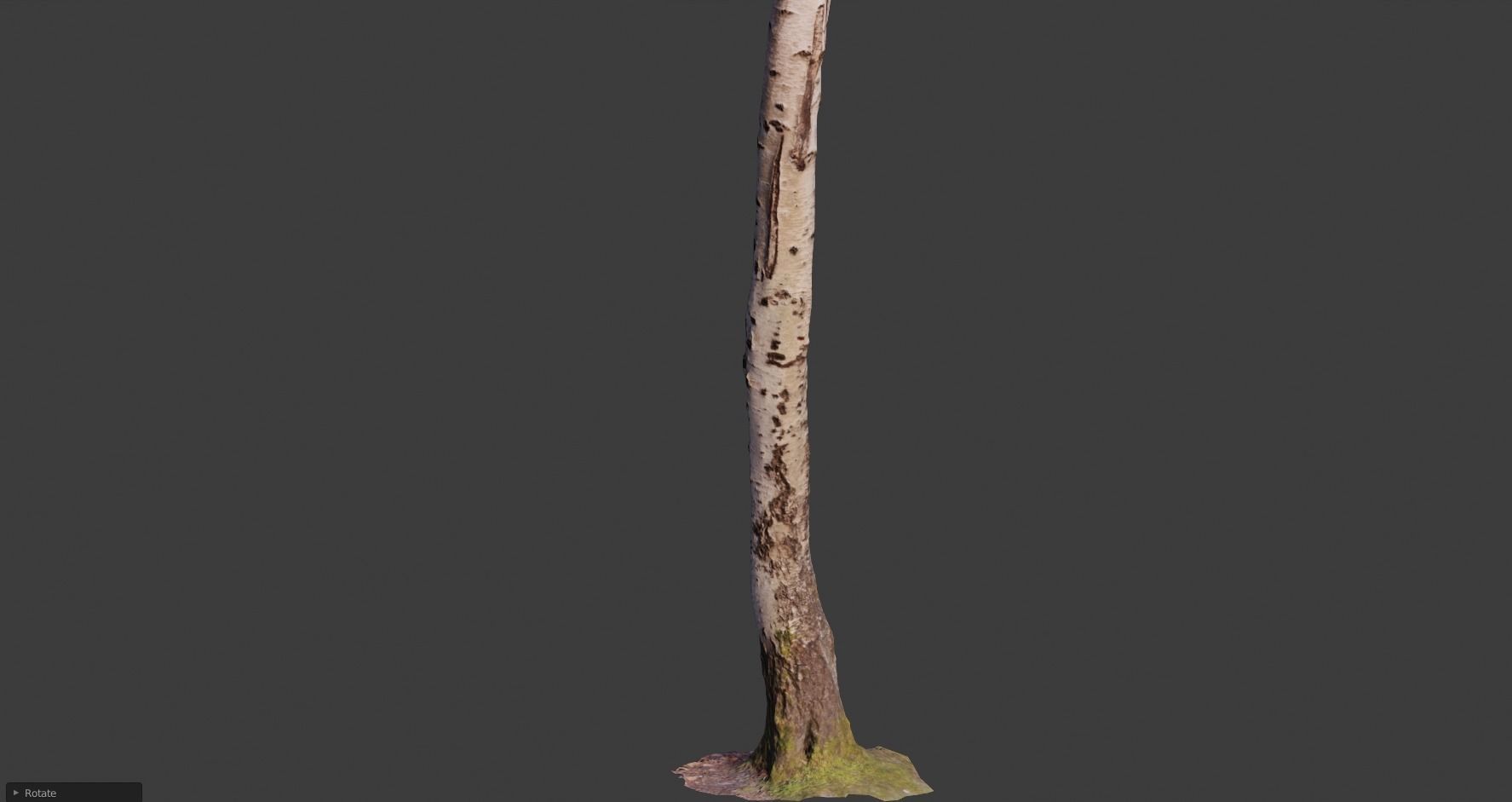 PBR 5x Beech Tree Trunk Real Scan Realistic Collection Low-poly 3D model_11