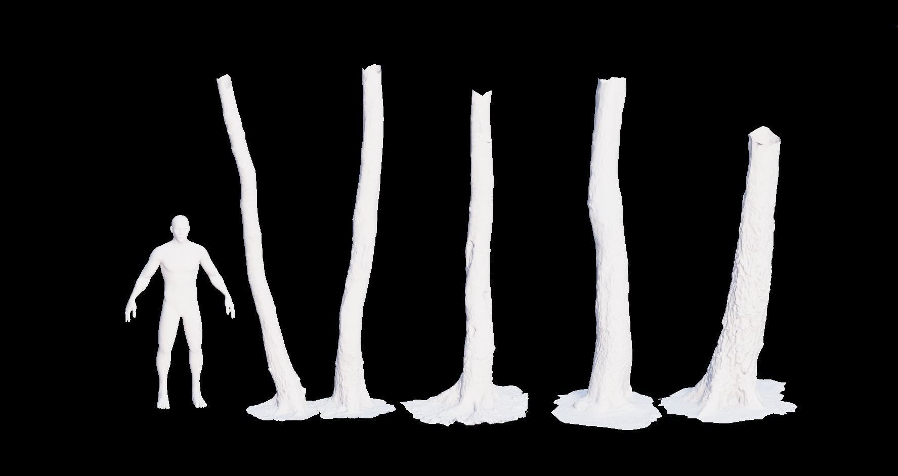 PBR 5x Beech Tree Trunk Real Scan Realistic Collection Low-poly 3D model_1