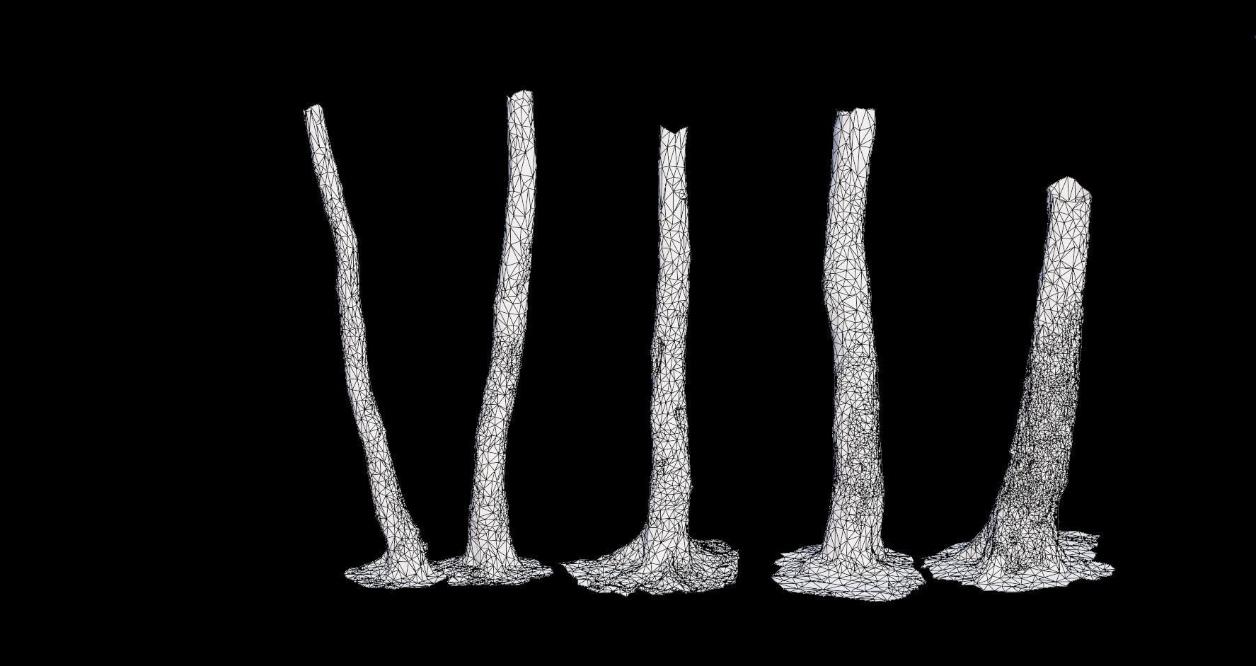 PBR 5x Beech Tree Trunk Real Scan Realistic Collection Low-poly 3D model_3