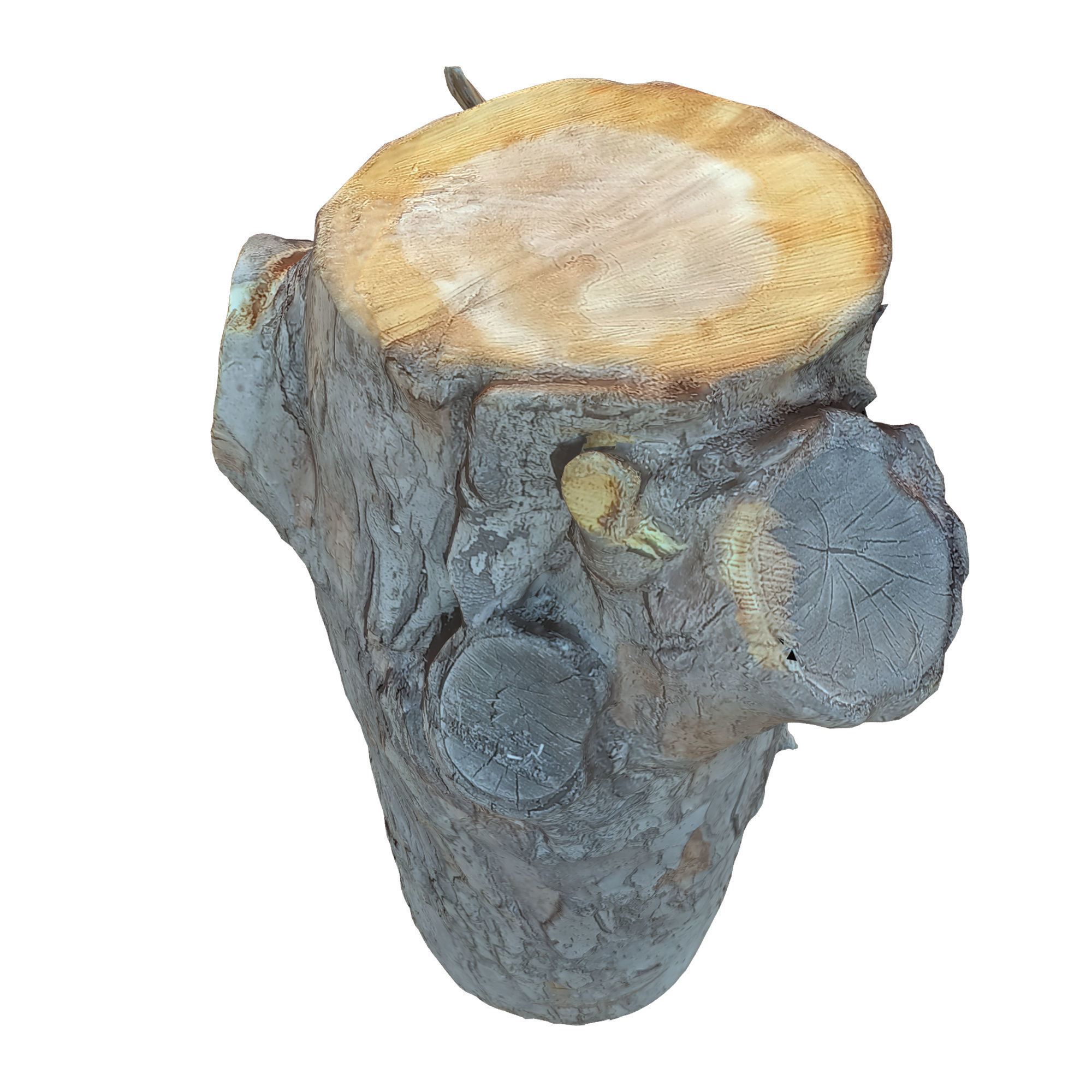 tree trunk 10 total tree trunk vol 2 3D model_33