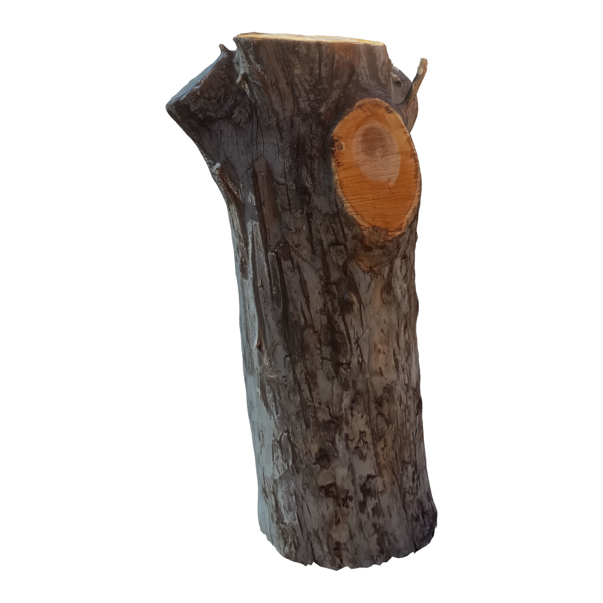 tree trunk 10 total tree trunk vol 2 3D model_26