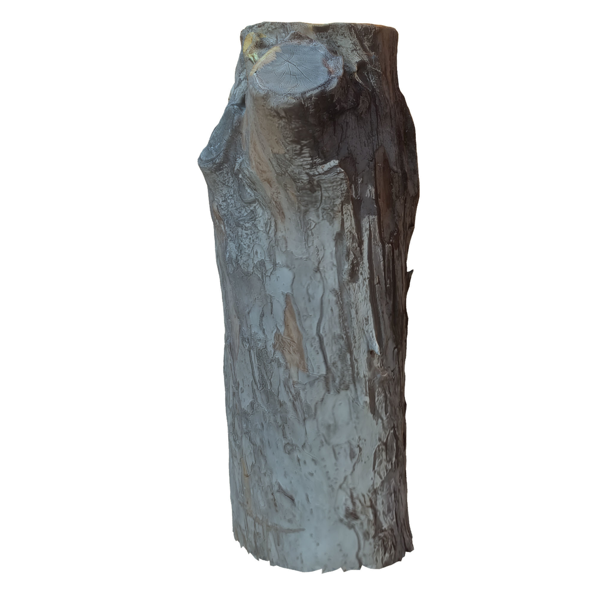 tree trunk 10 total tree trunk vol 2 3D model_25