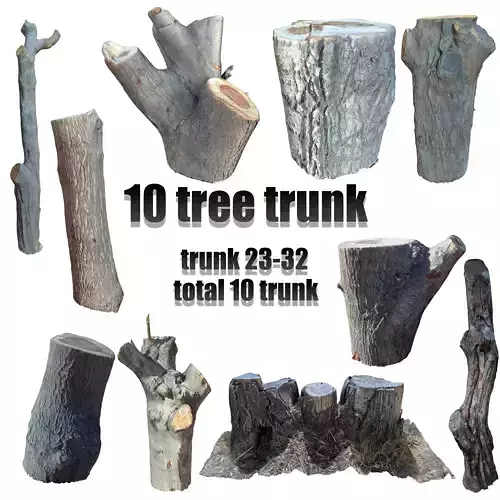 tree trunk 10 total tree trunk vol 2