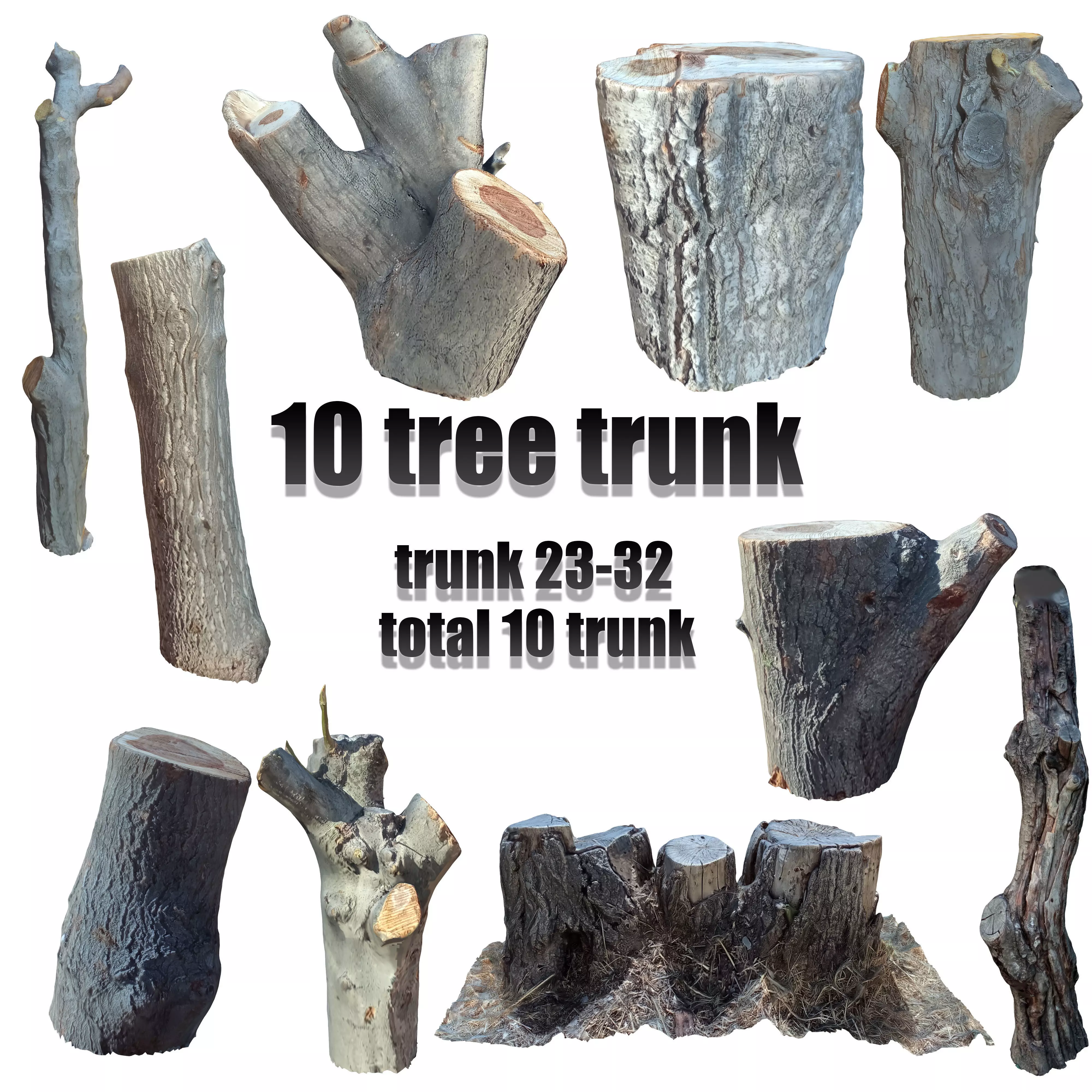 tree trunk 10 total tree trunk vol 2 3D model_0