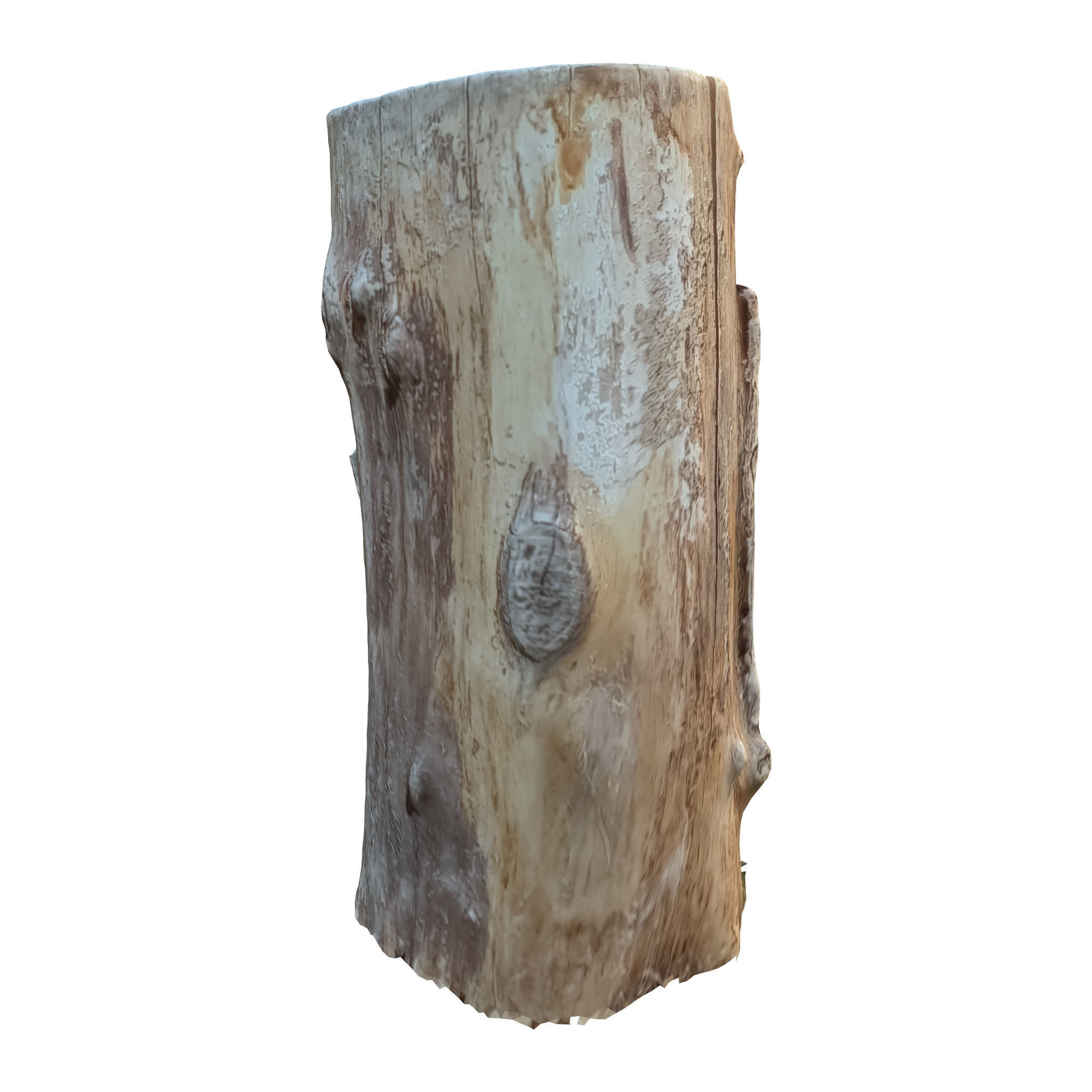 tree trunk 10 total tree trunk vol 2 3D model_2