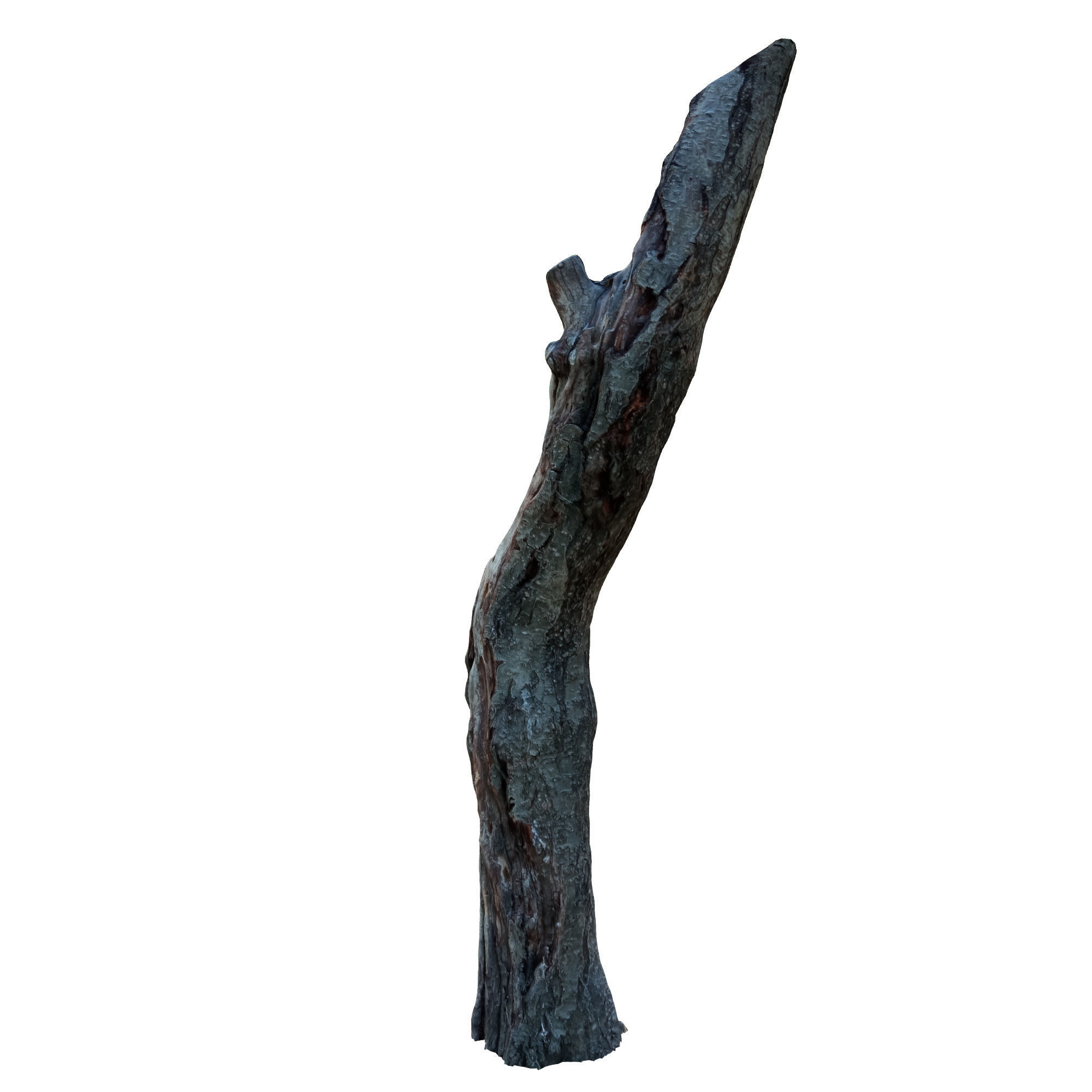 tree trunk 10 total tree trunk vol 2 3D model_19