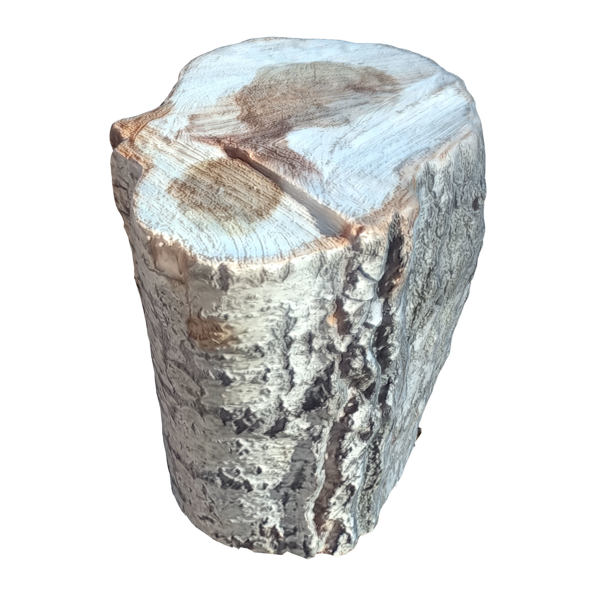 tree trunk 10 total tree trunk vol 2 3D model_39