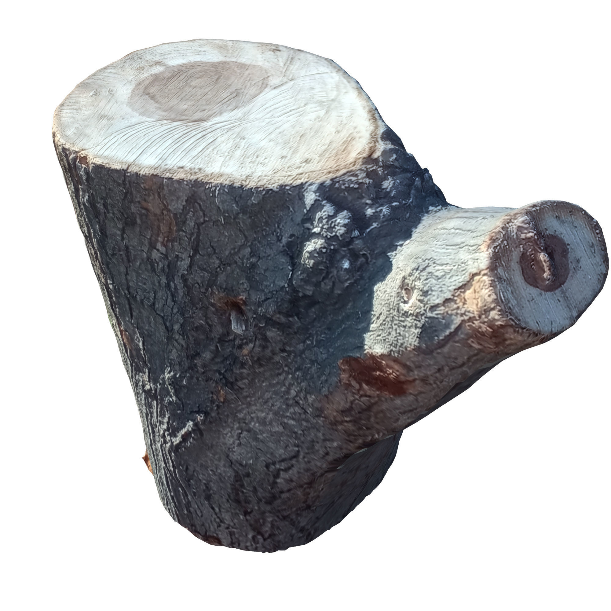 tree trunk 10 total tree trunk vol 2 3D model_51