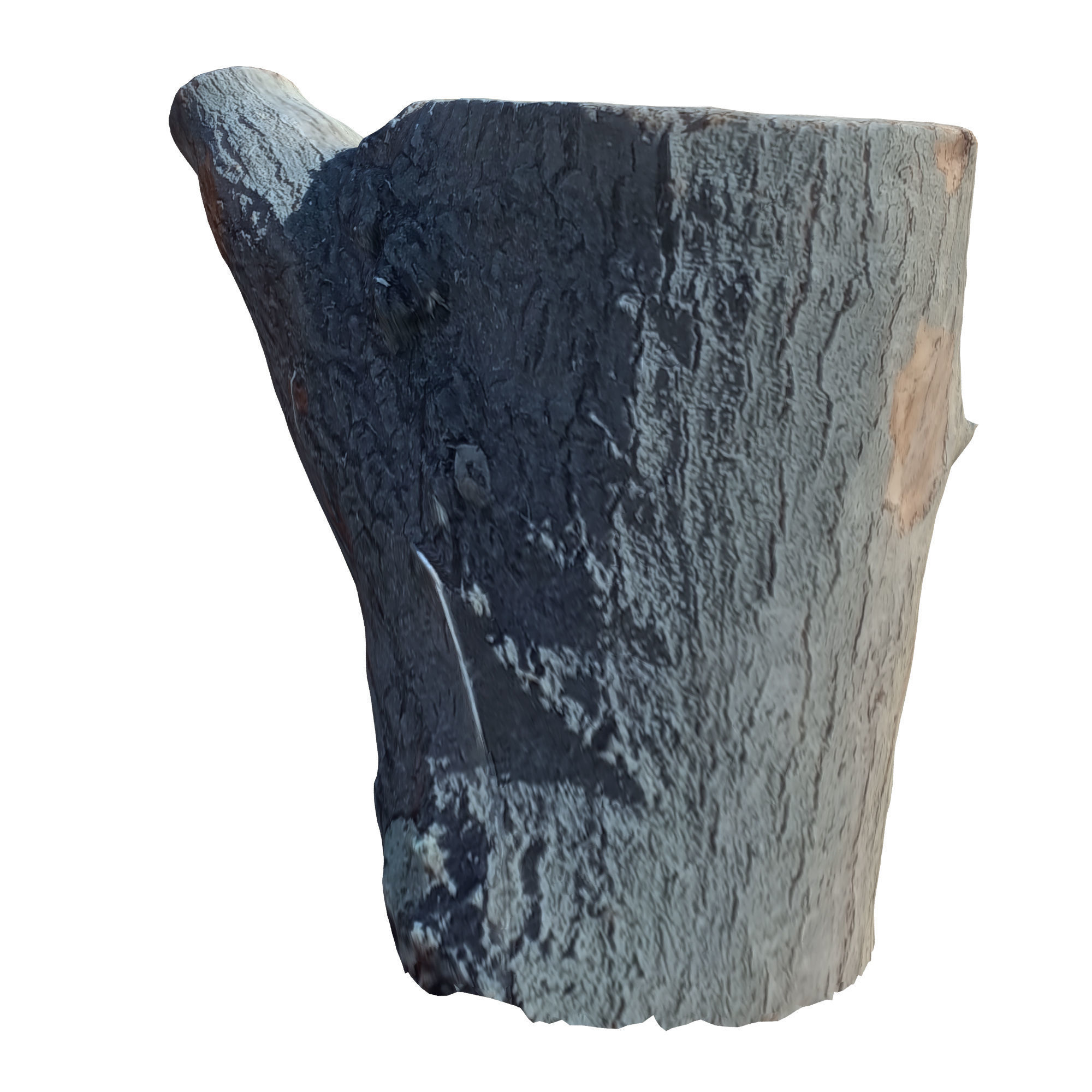 tree trunk 10 total tree trunk vol 2 3D model_48