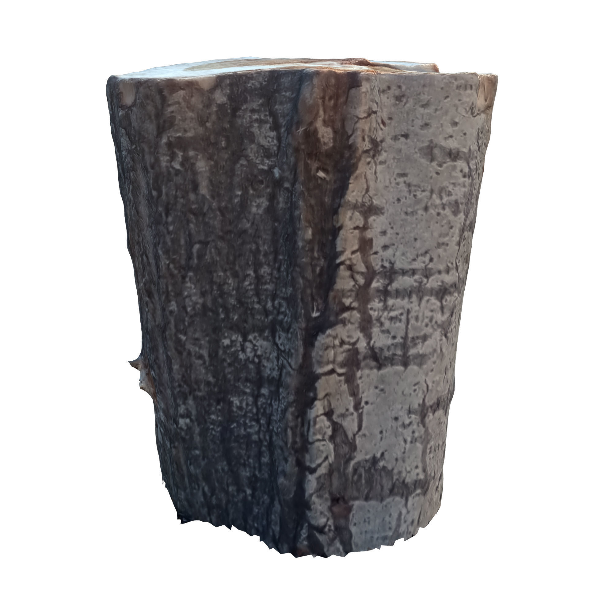 tree trunk 10 total tree trunk vol 2 3D model_27