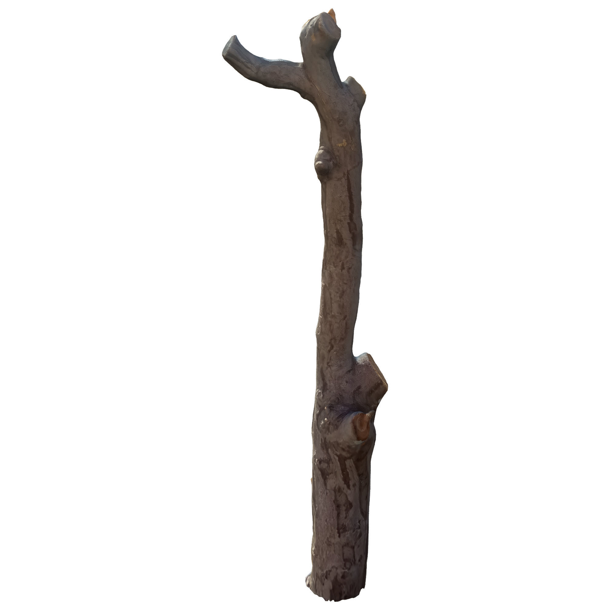 tree trunk 10 total tree trunk vol 2 3D model_22