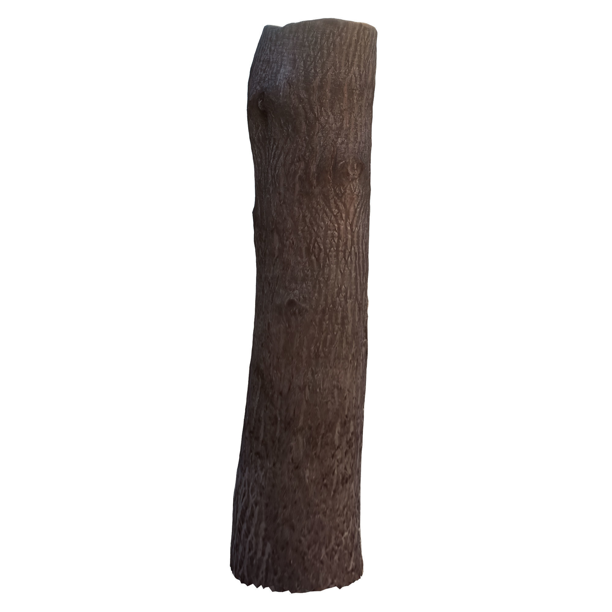 tree trunk 10 total tree trunk vol 2 3D model_29