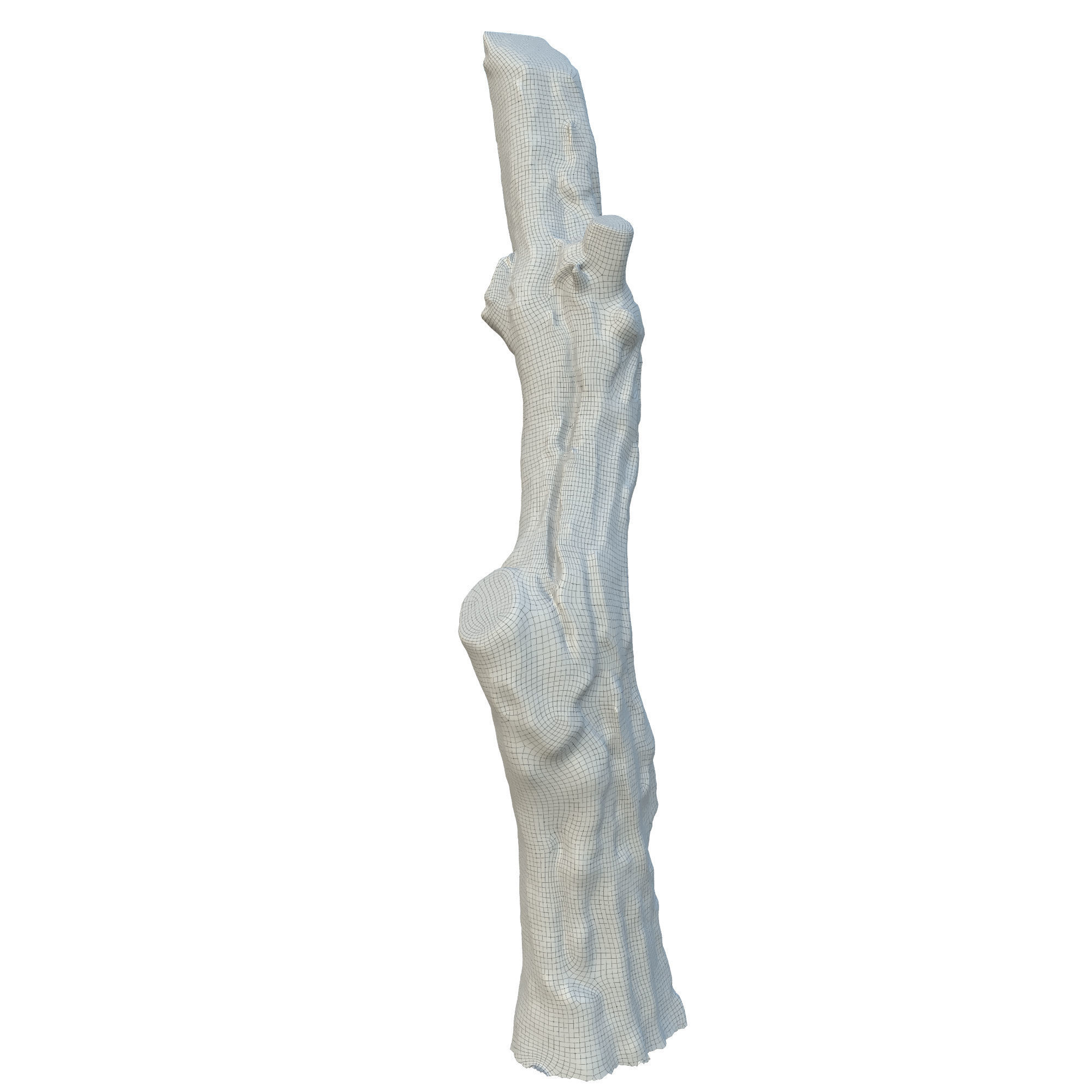 tree trunk 10 total tree trunk vol 2 3D model_14