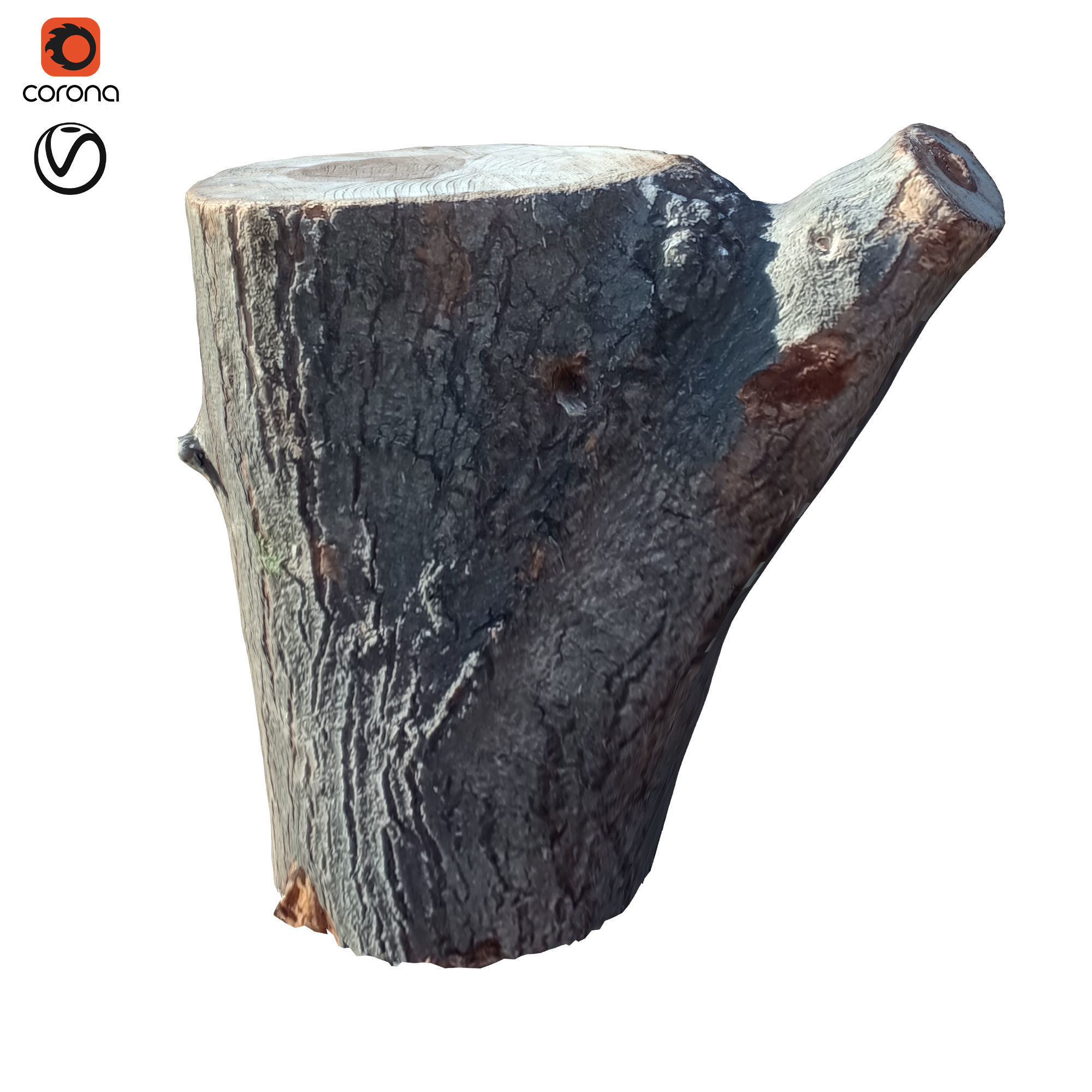 tree trunk 10 total tree trunk vol 2 3D model_50