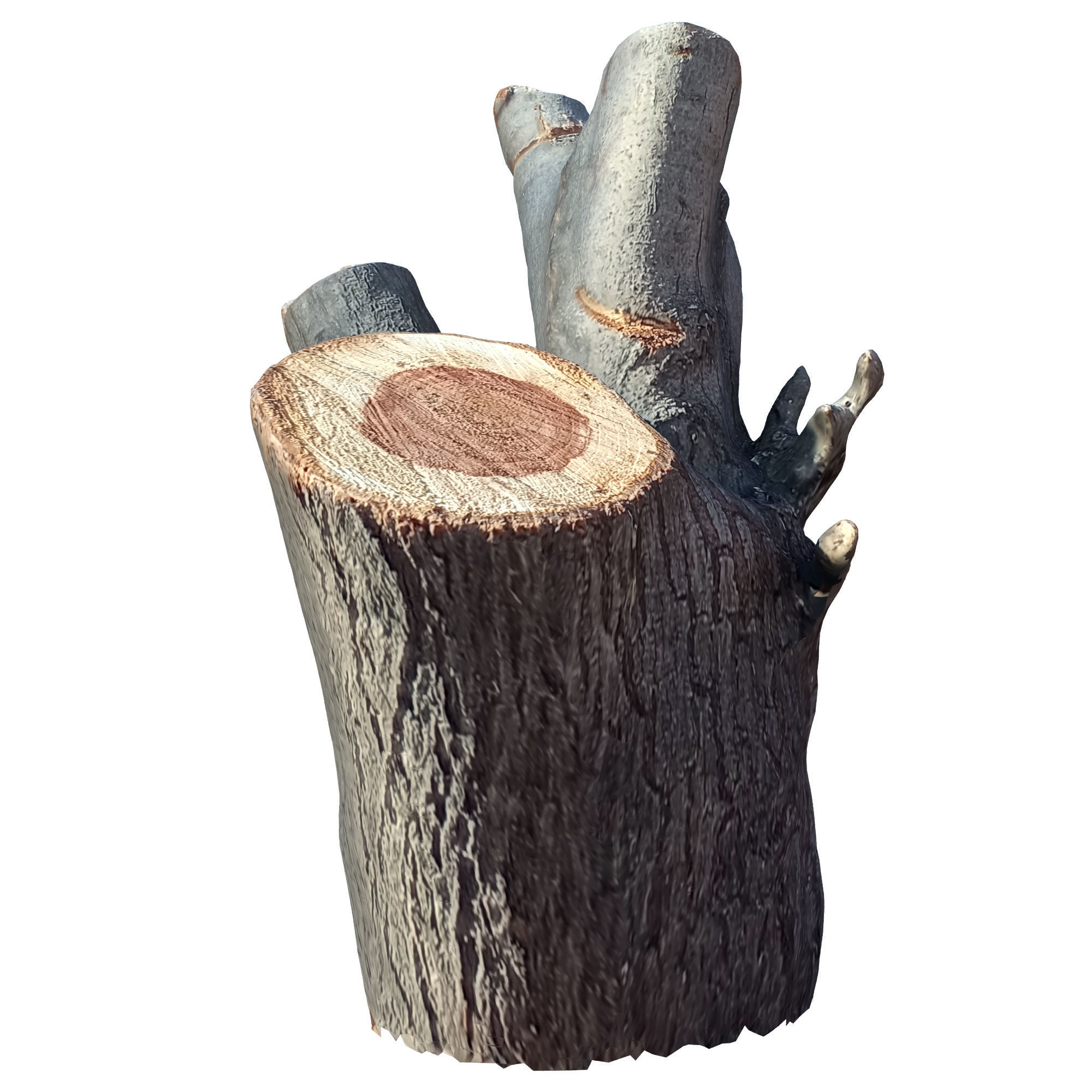 tree trunk 10 total tree trunk vol 2 3D model_52
