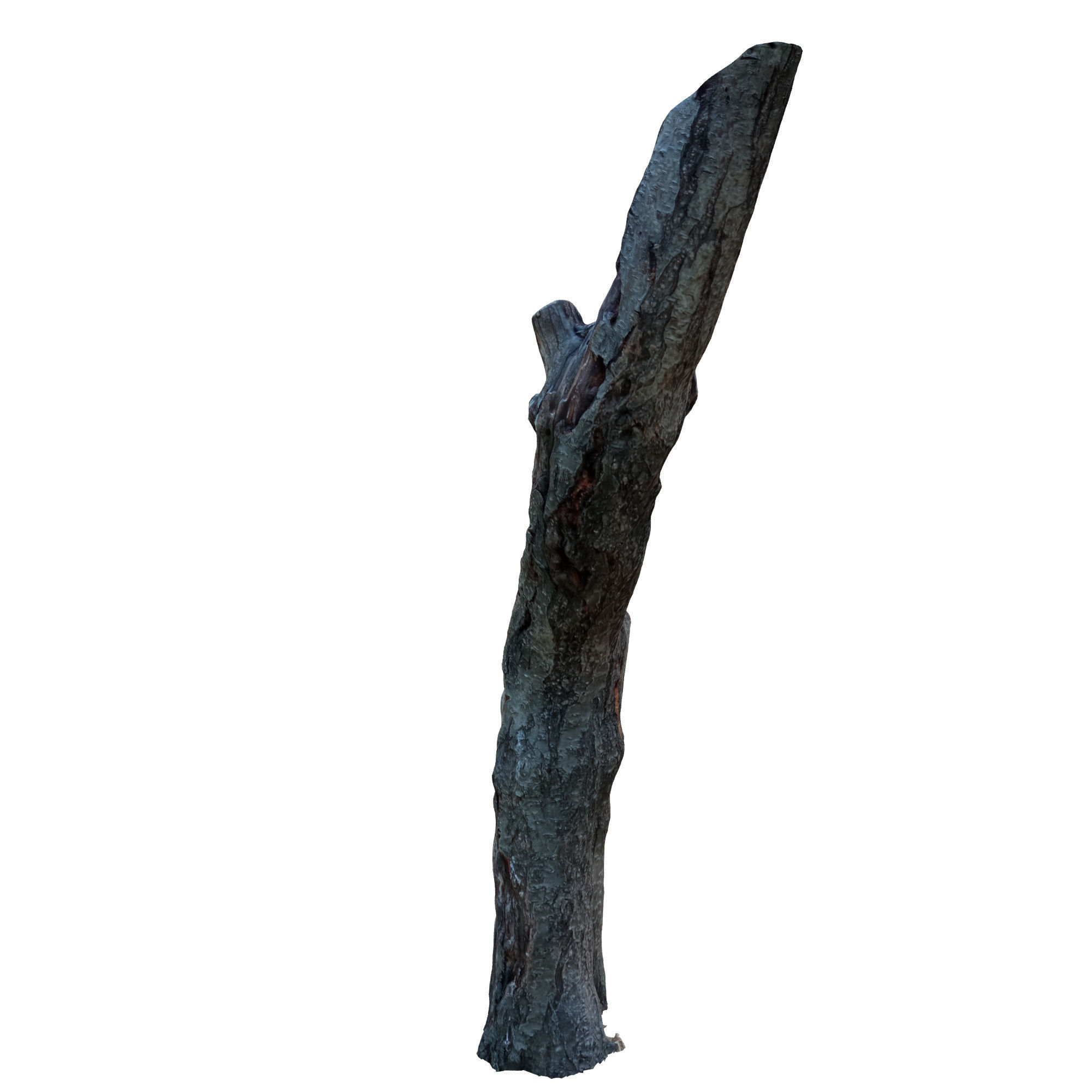 tree trunk 10 total tree trunk vol 2 3D model_12