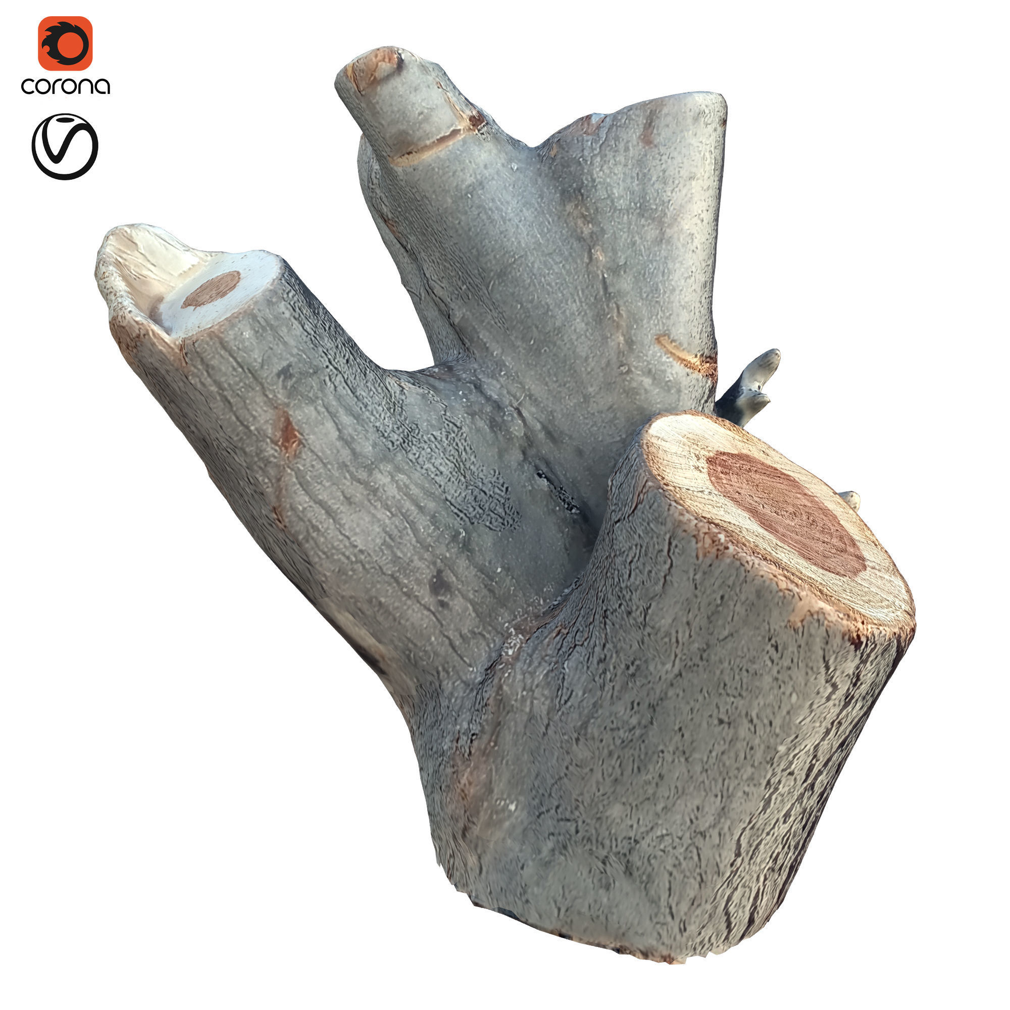tree trunk 10 total tree trunk vol 2 3D model_43