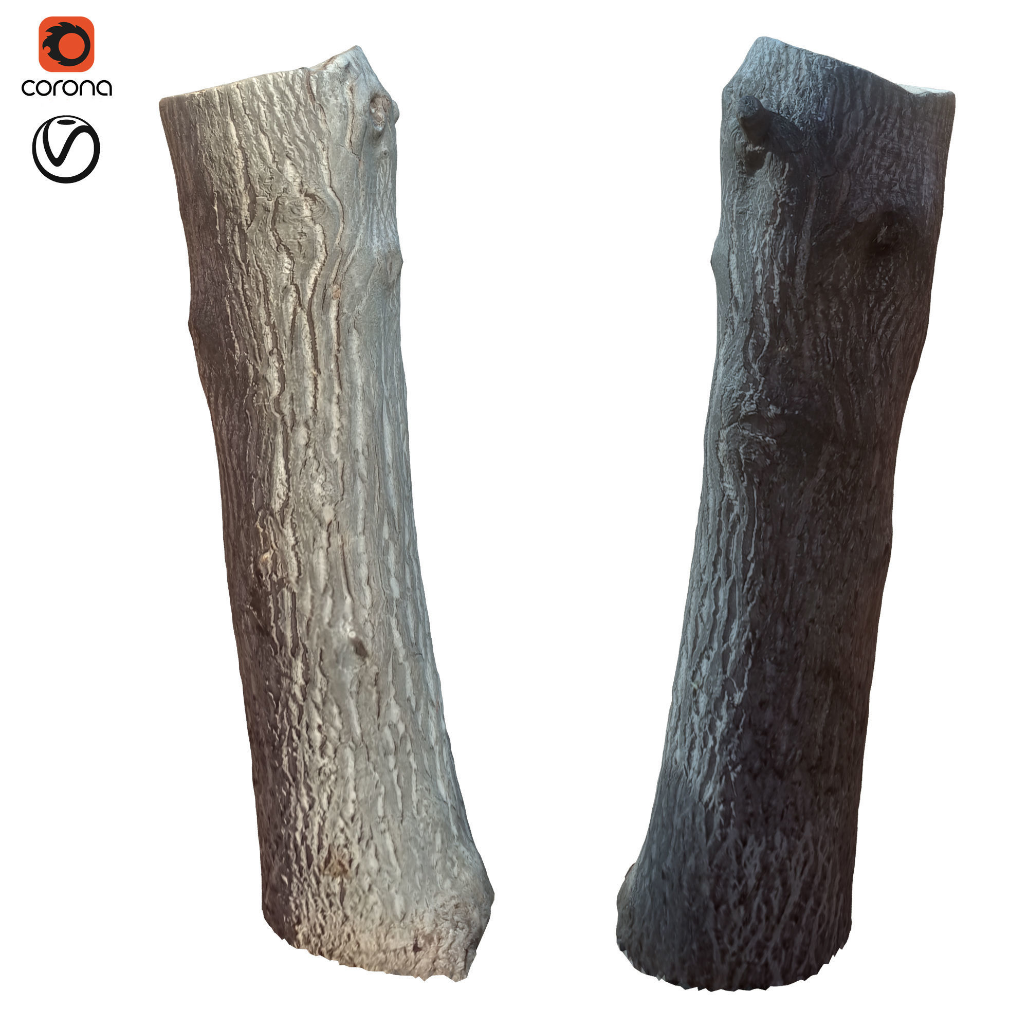 tree trunk 10 total tree trunk vol 2 3D model_20