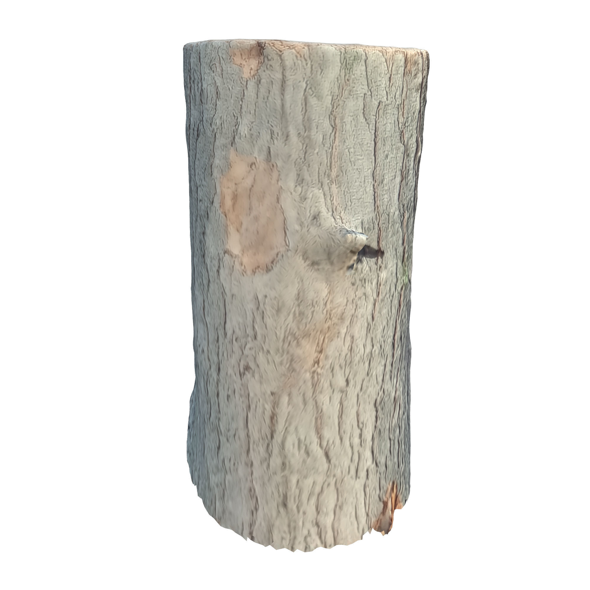 tree trunk 10 total tree trunk vol 2 3D model_47