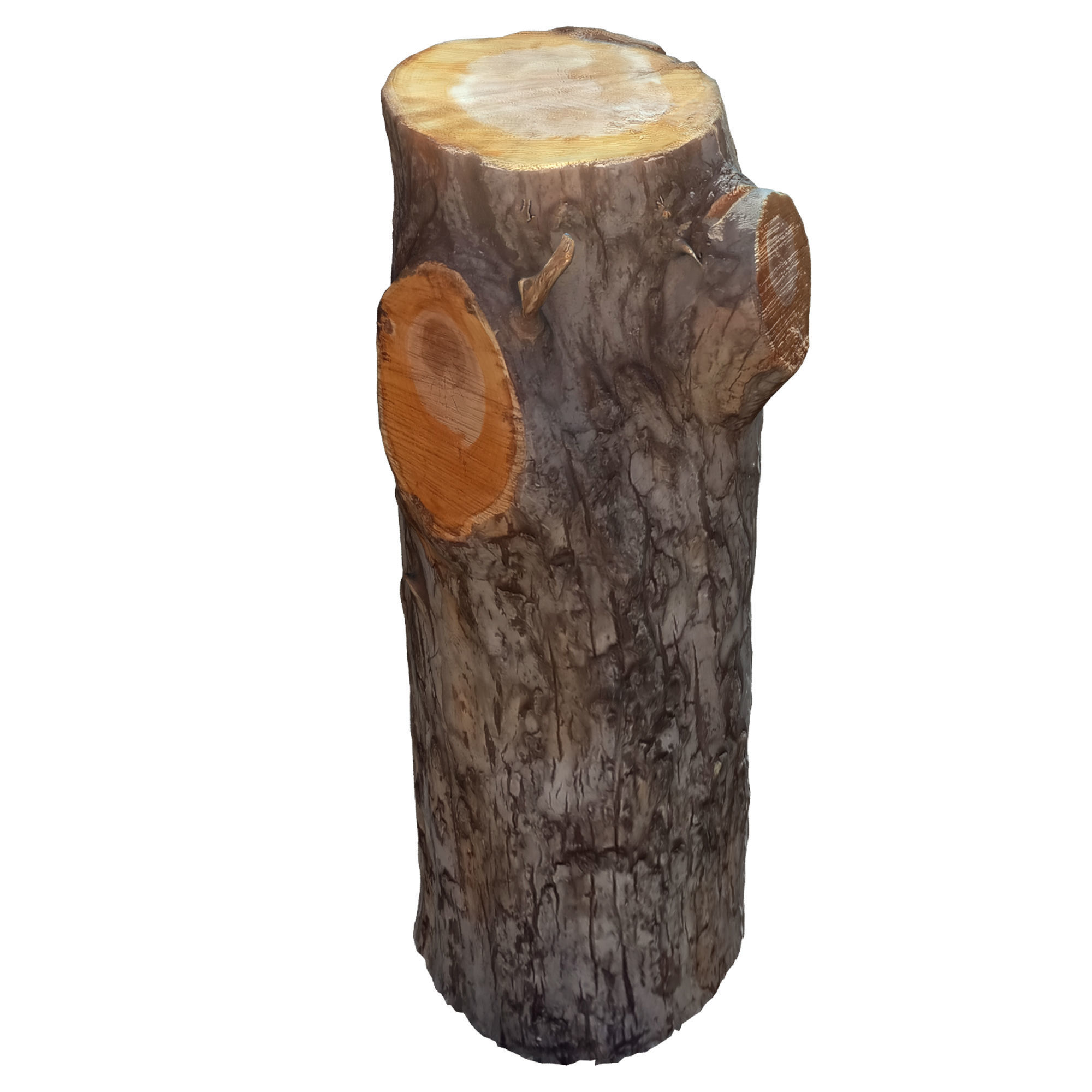 tree trunk 10 total tree trunk vol 2 3D model_18