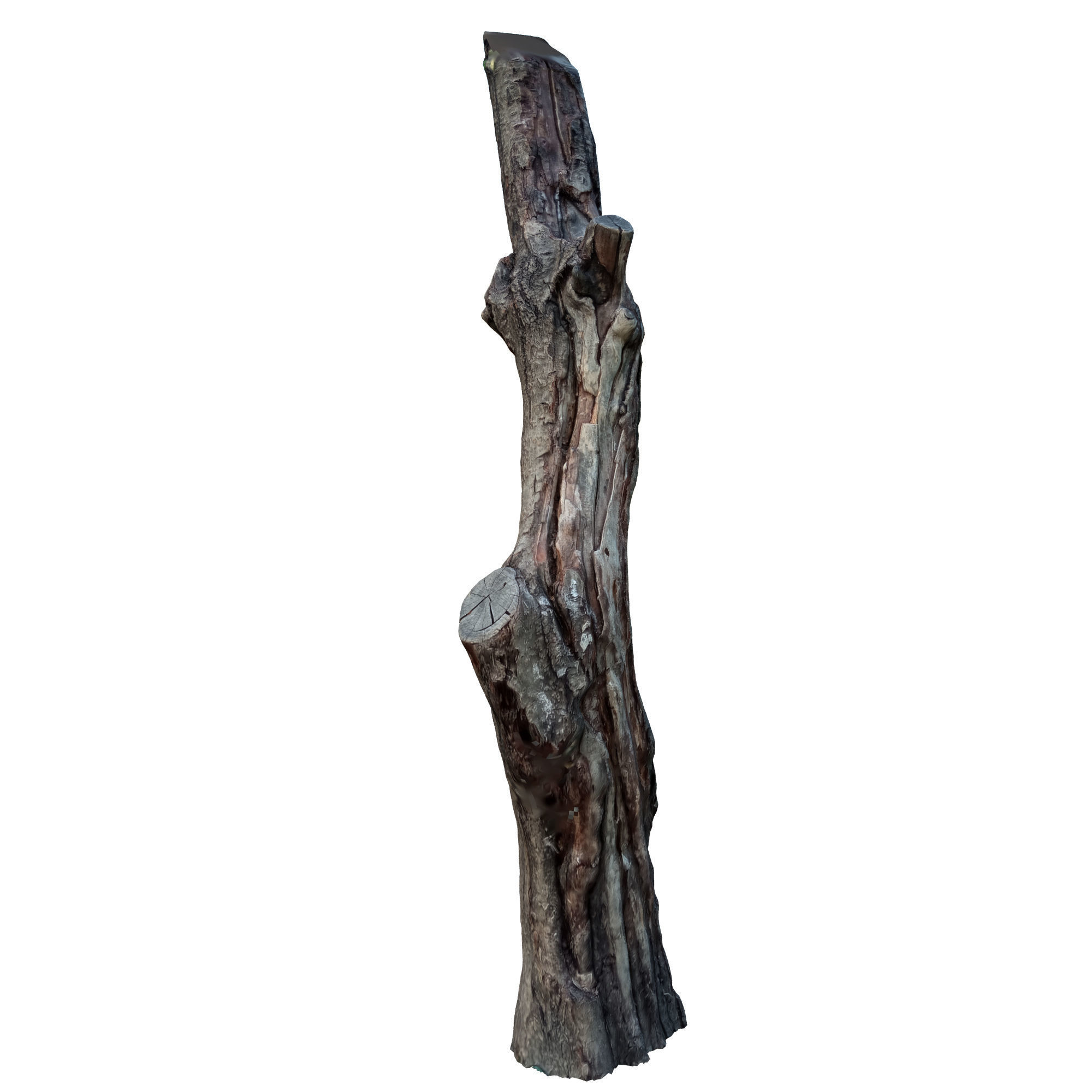 tree trunk 10 total tree trunk vol 2 3D model_32
