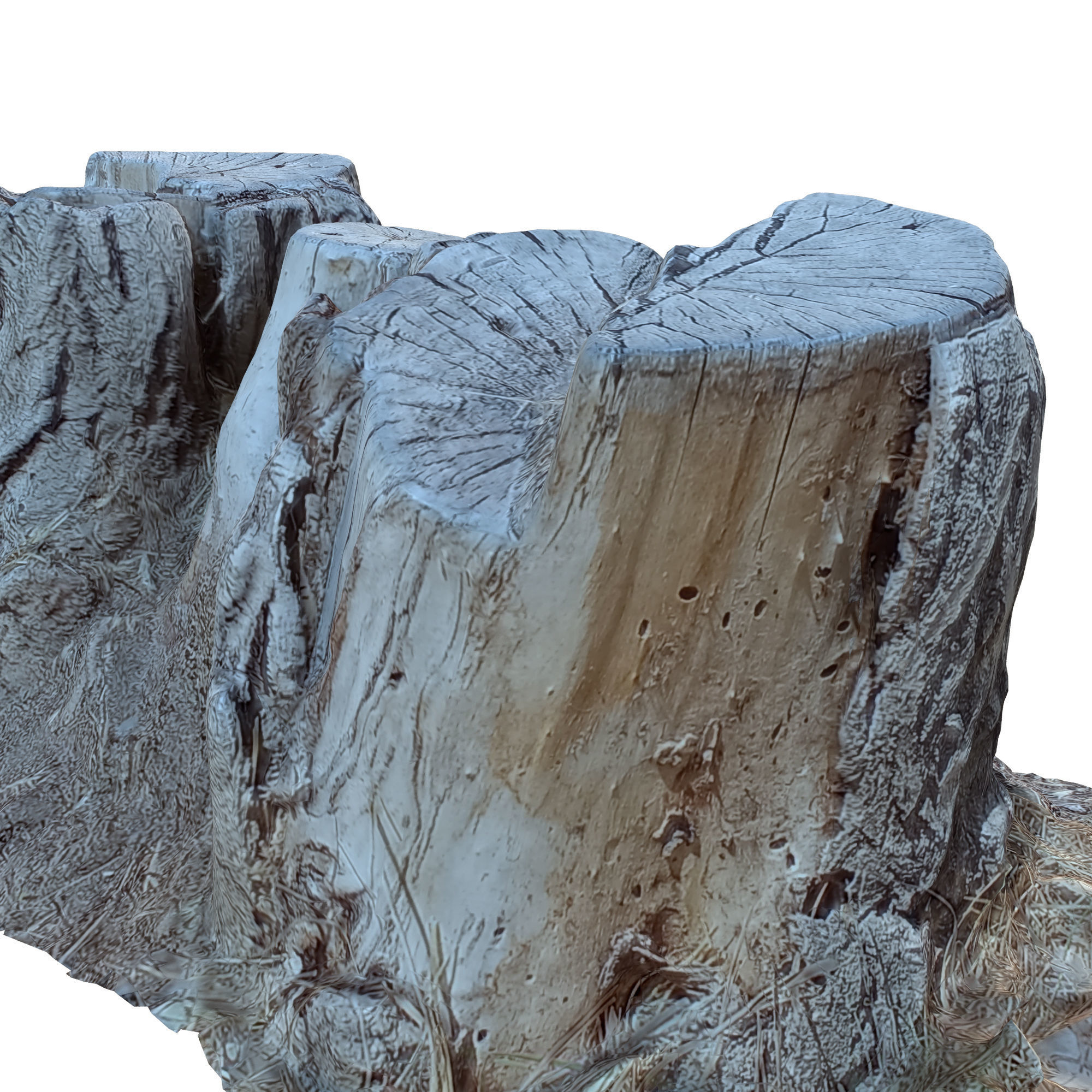 tree trunk 10 total tree trunk vol 2 3D model_6