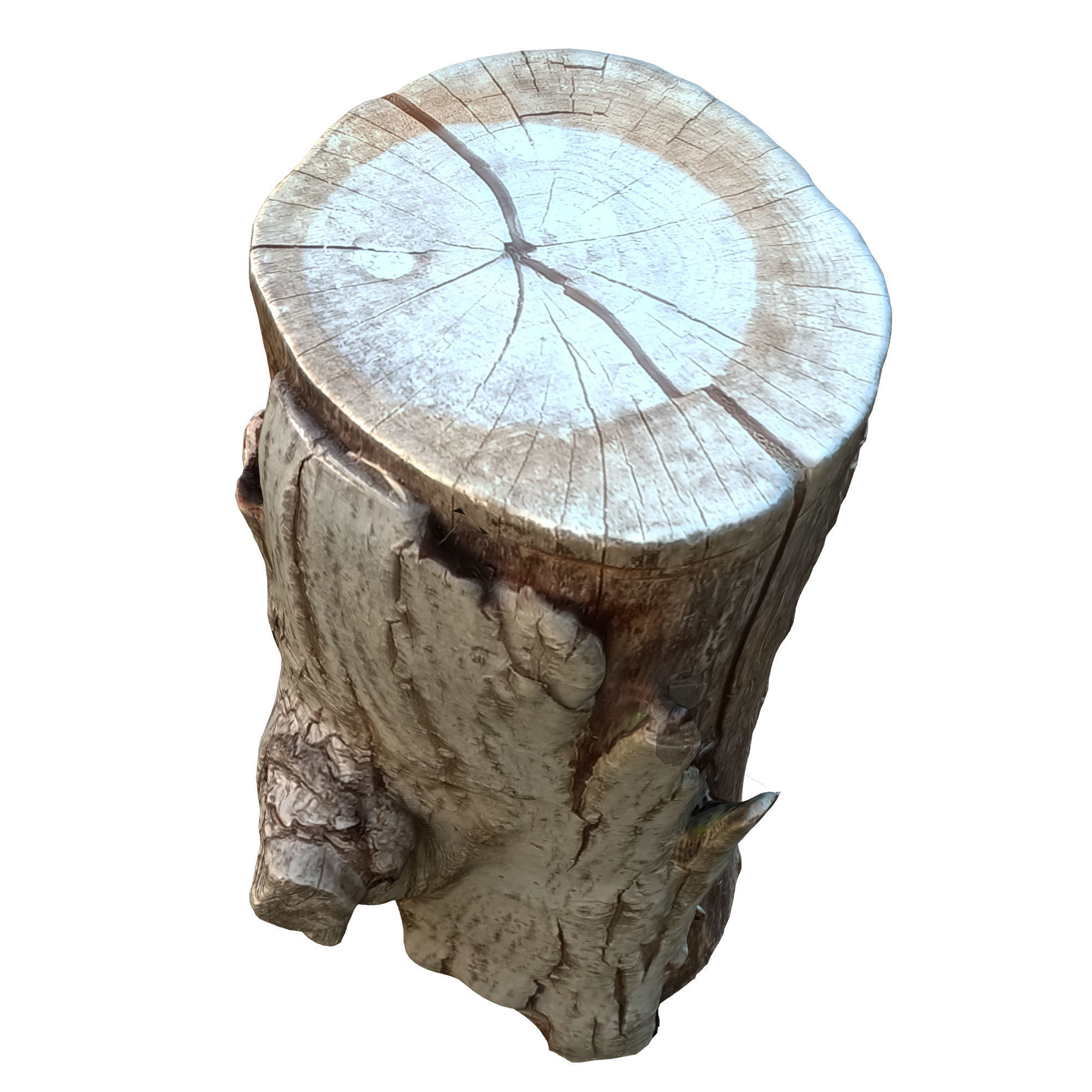 tree trunk 10 total tree trunk vol 2 3D model_5