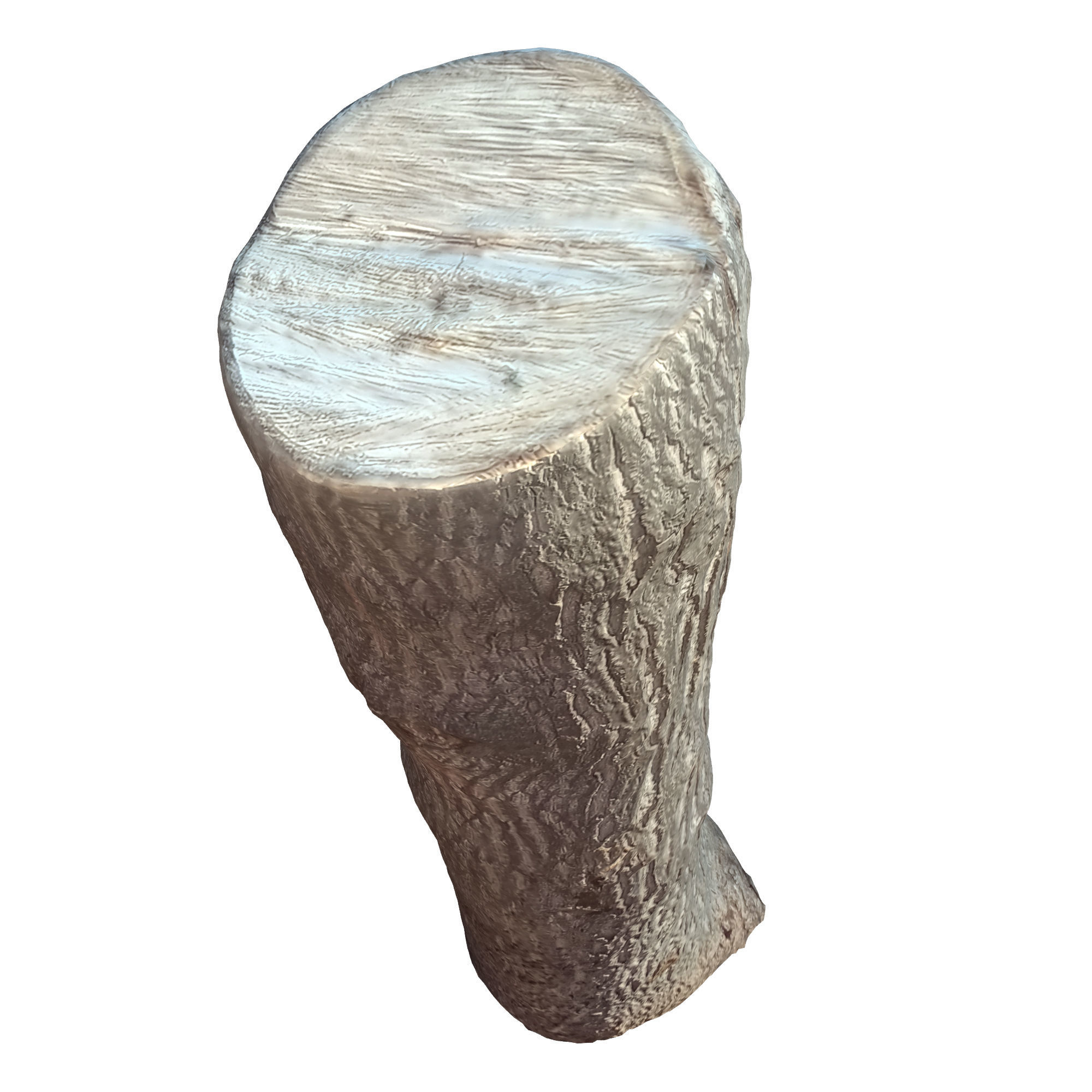 tree trunk 10 total tree trunk vol 2 3D model_38