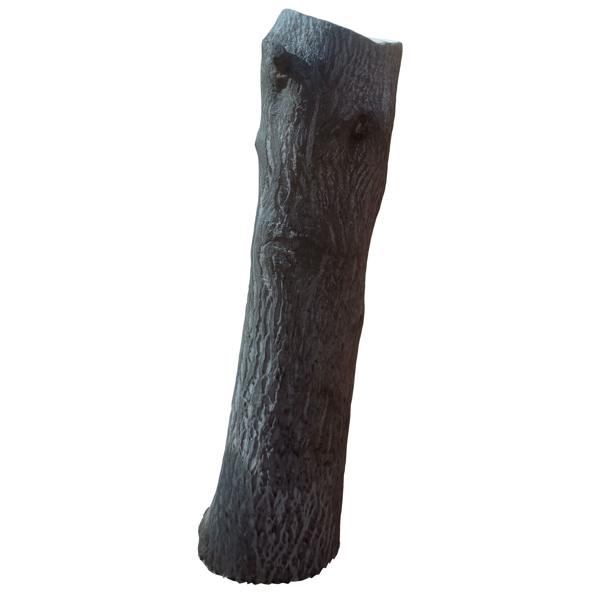 tree trunk 10 total tree trunk vol 2 3D model_17