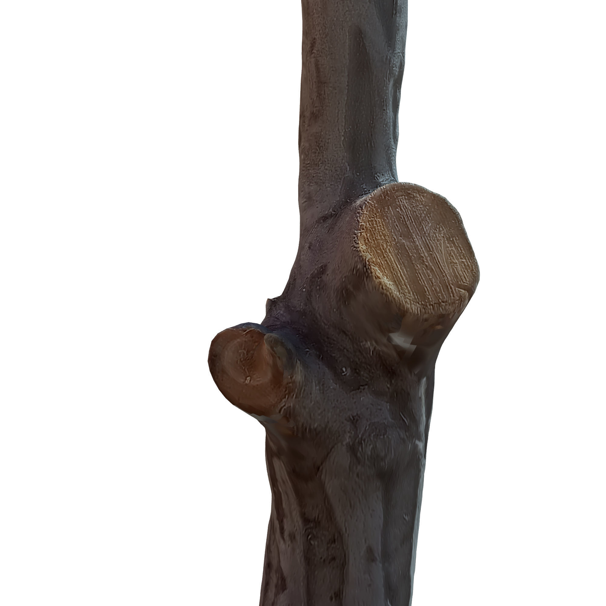 tree trunk 10 total tree trunk vol 2 3D model_13